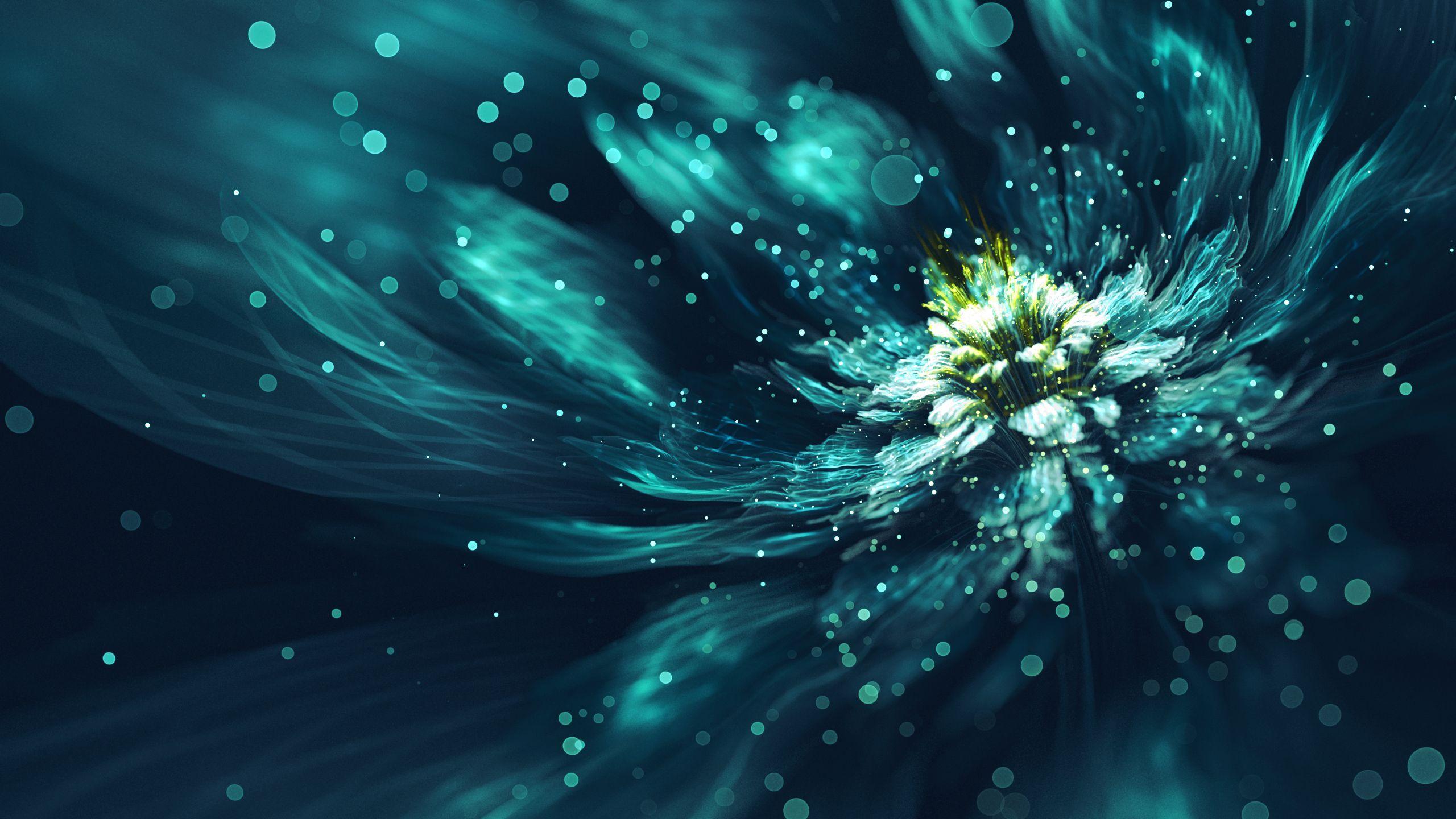 Creative Flower Desktop Wallpapers Top Free Creative Flower Desktop