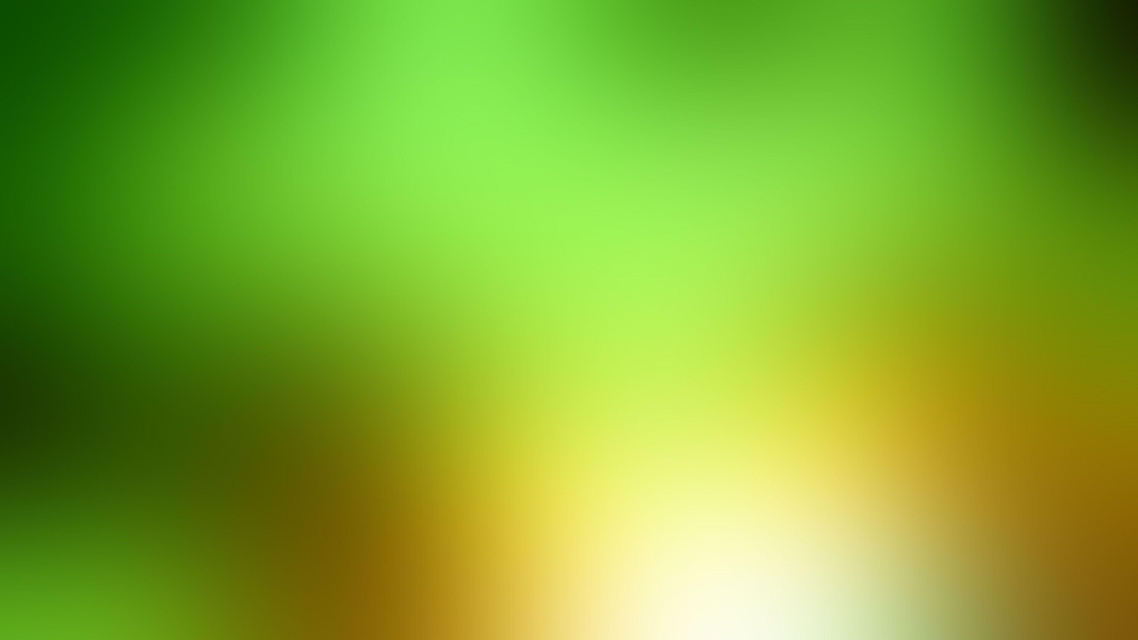 Green and Yellow Wallpapers Top Free Green and Yellow Backgrounds WallpaperAccess