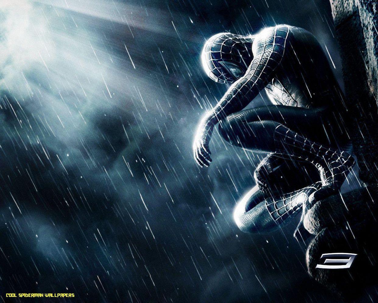 Cool Spiderman Desktop Wallpapers Top Free Cool Spiderman Desktop