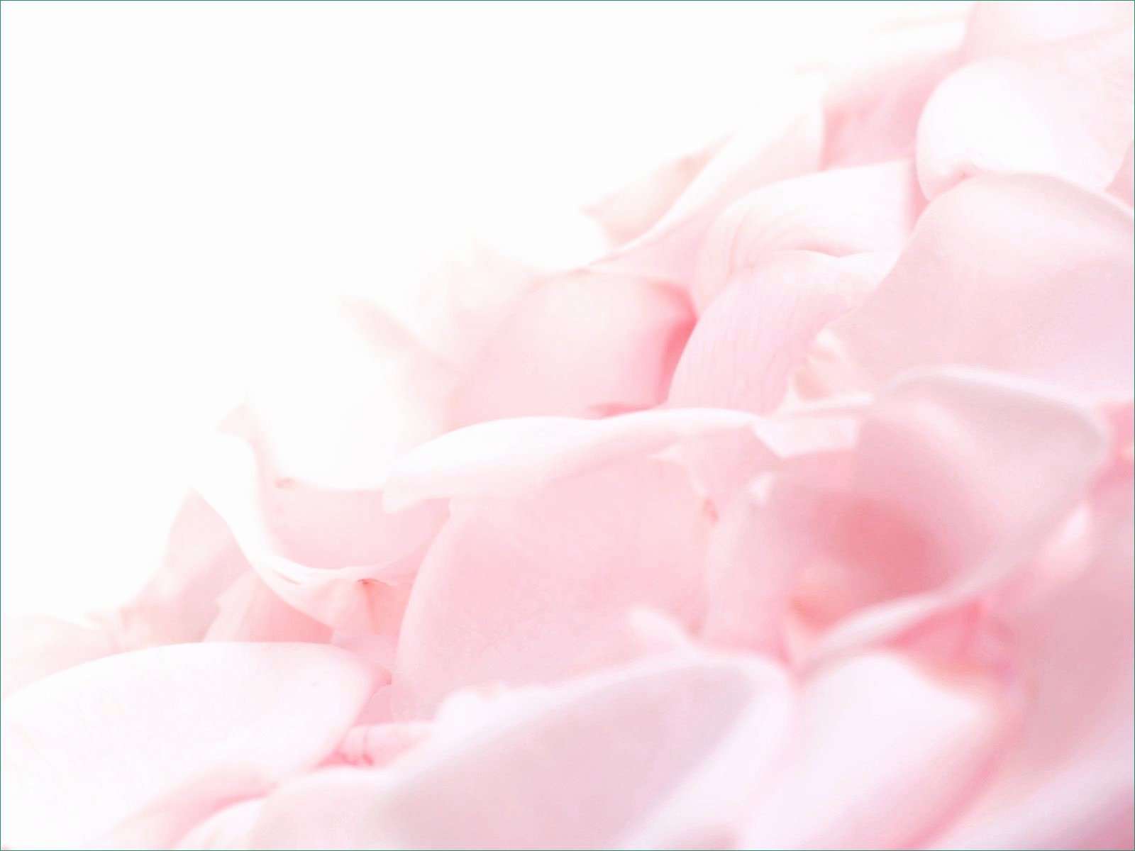 Dusty Pink Wallpapers Top Free Dusty Pink Backgrounds WallpaperAccess