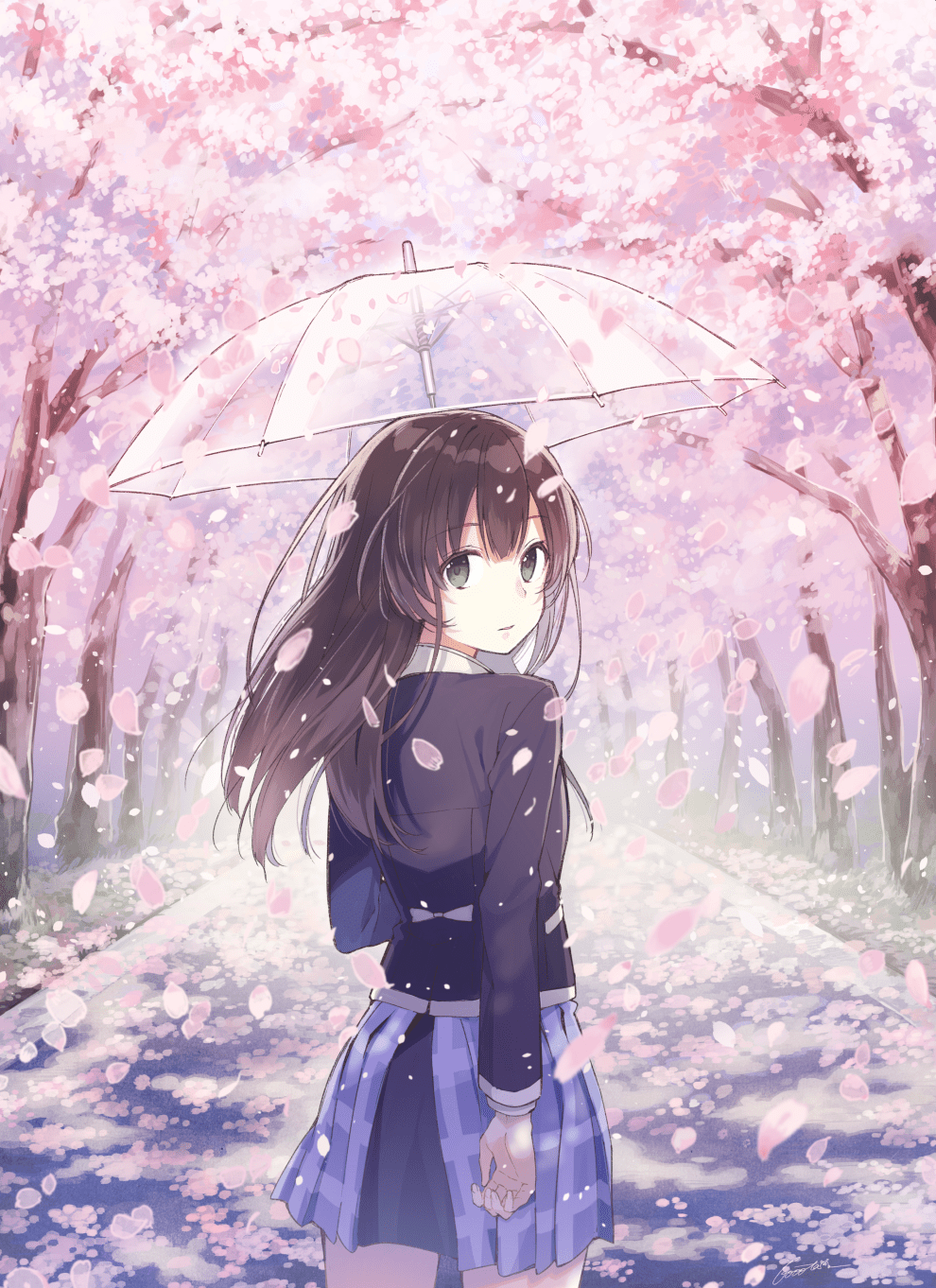 Anime Cherry Blossom Girl Wallpapers Top Free Anime Cherry Blossom