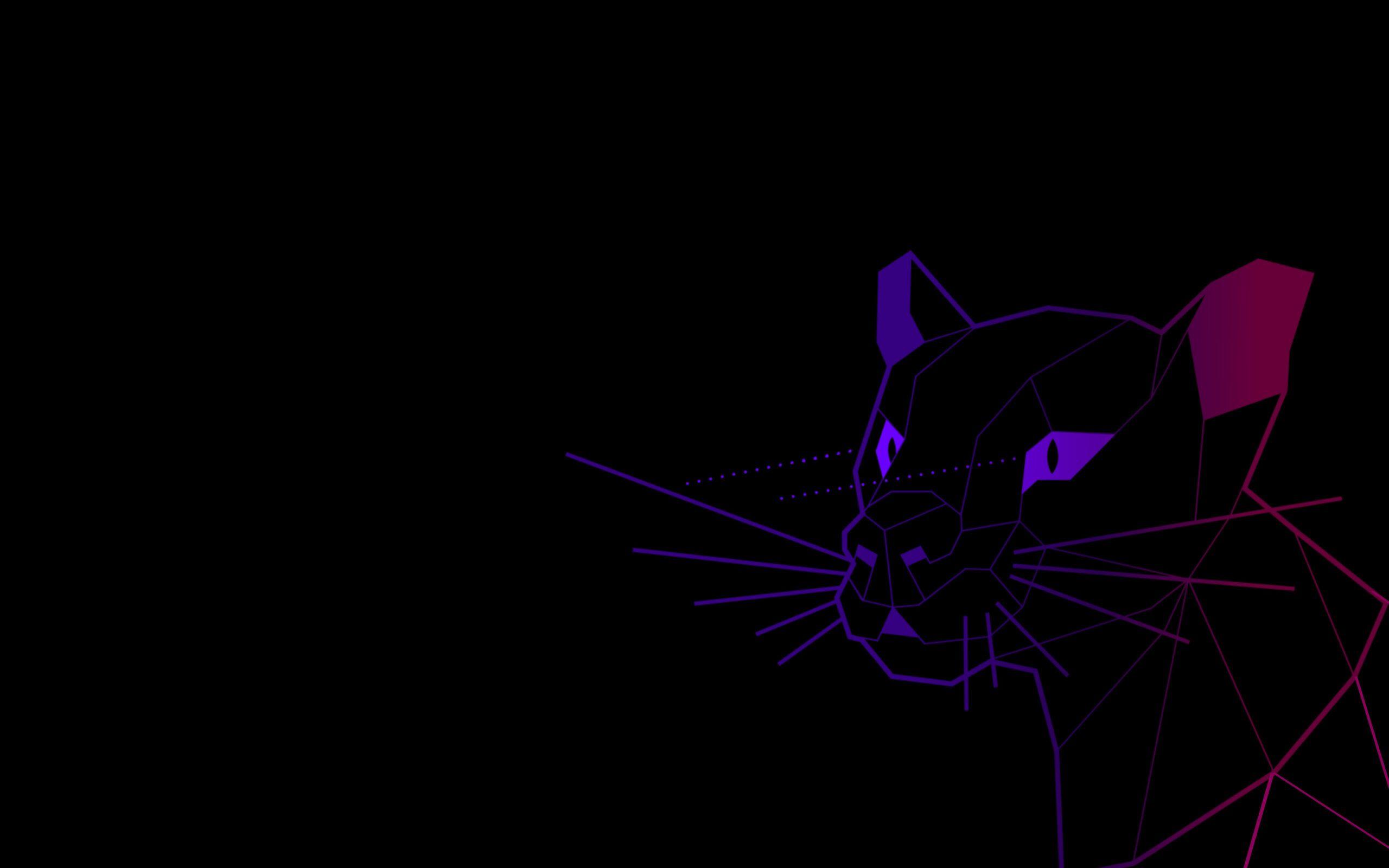 Ubuntu Dark Wallpapers Top Free Ubuntu Dark Backgrounds WallpaperAccess