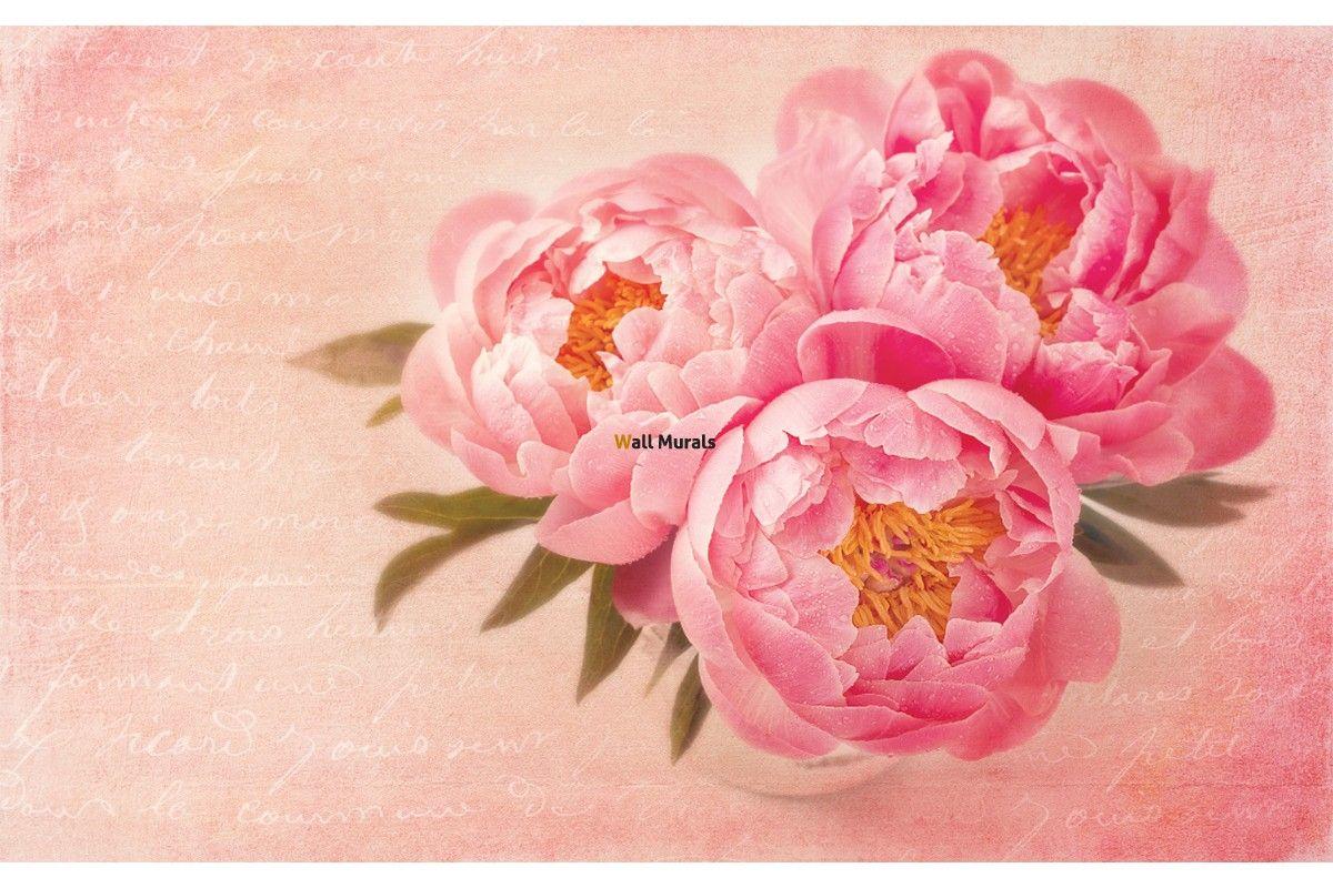 Vintage Peonies Wallpapers Top Free Vintage Peonies Backgrounds WallpaperAccess