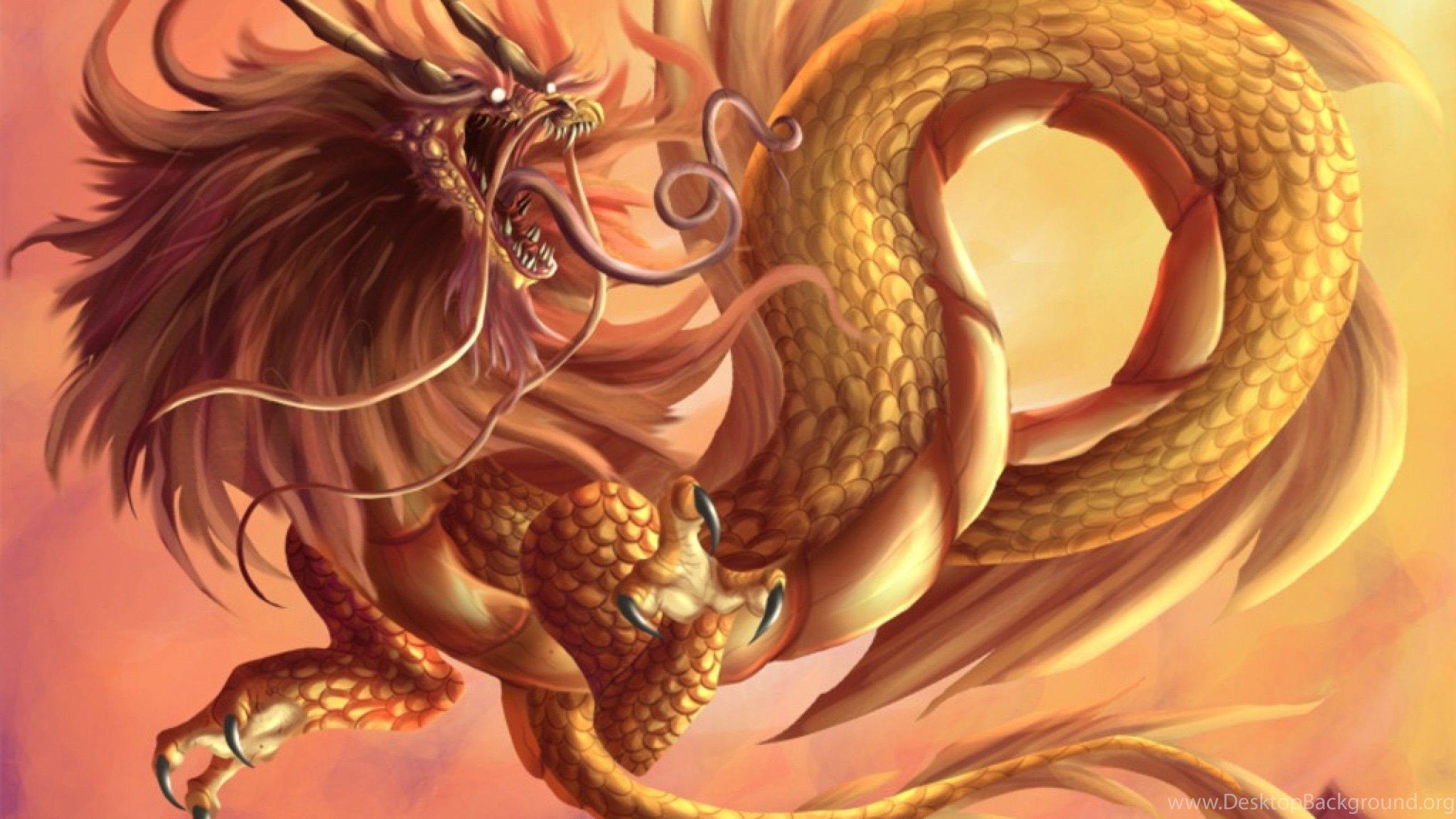Chinese Dragon Wallpapers Hd Backgrounds Desktop Wallpapers Desktop