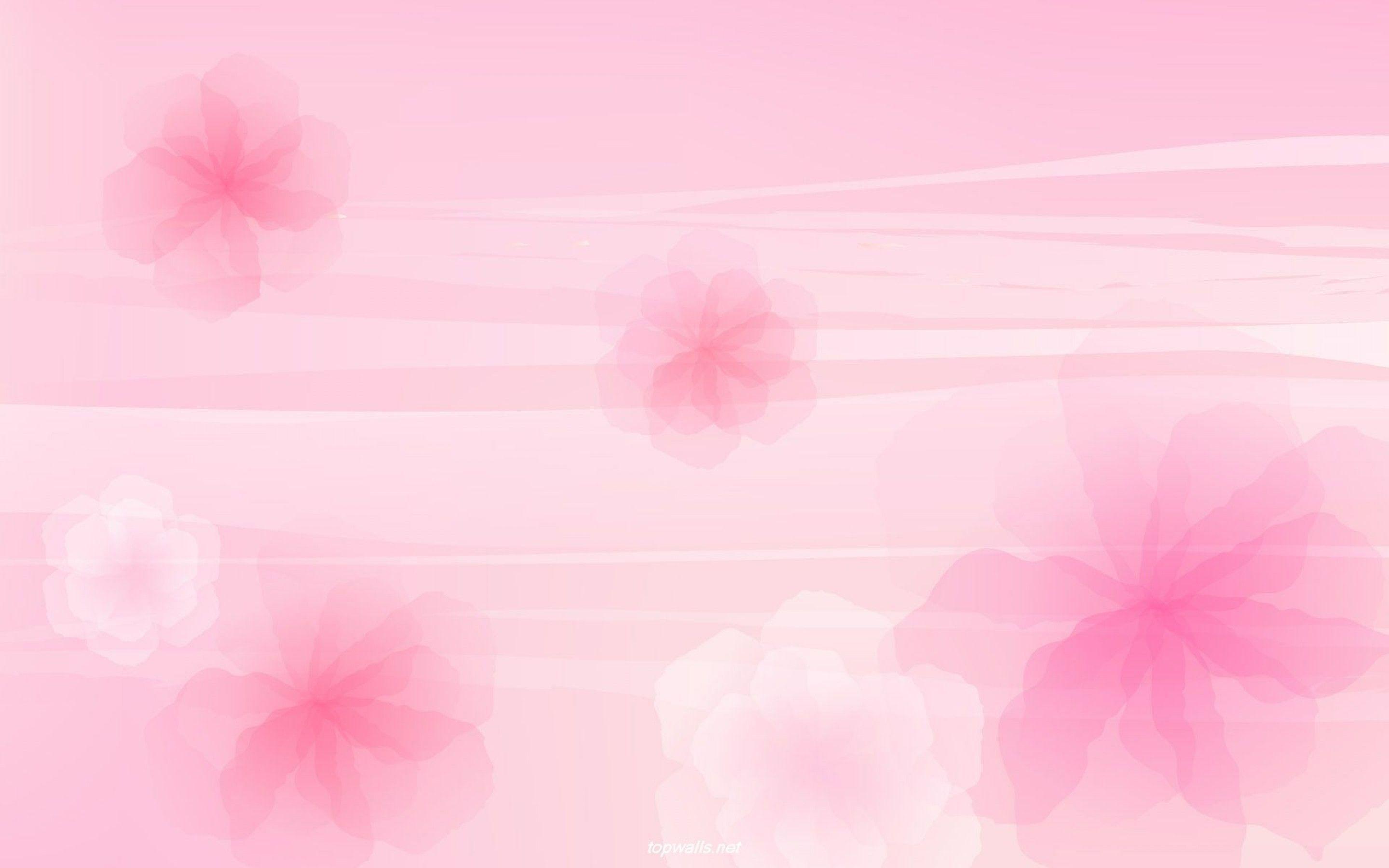 Light Pink Color Wallpapers Top Free Light Pink Color Backgrounds