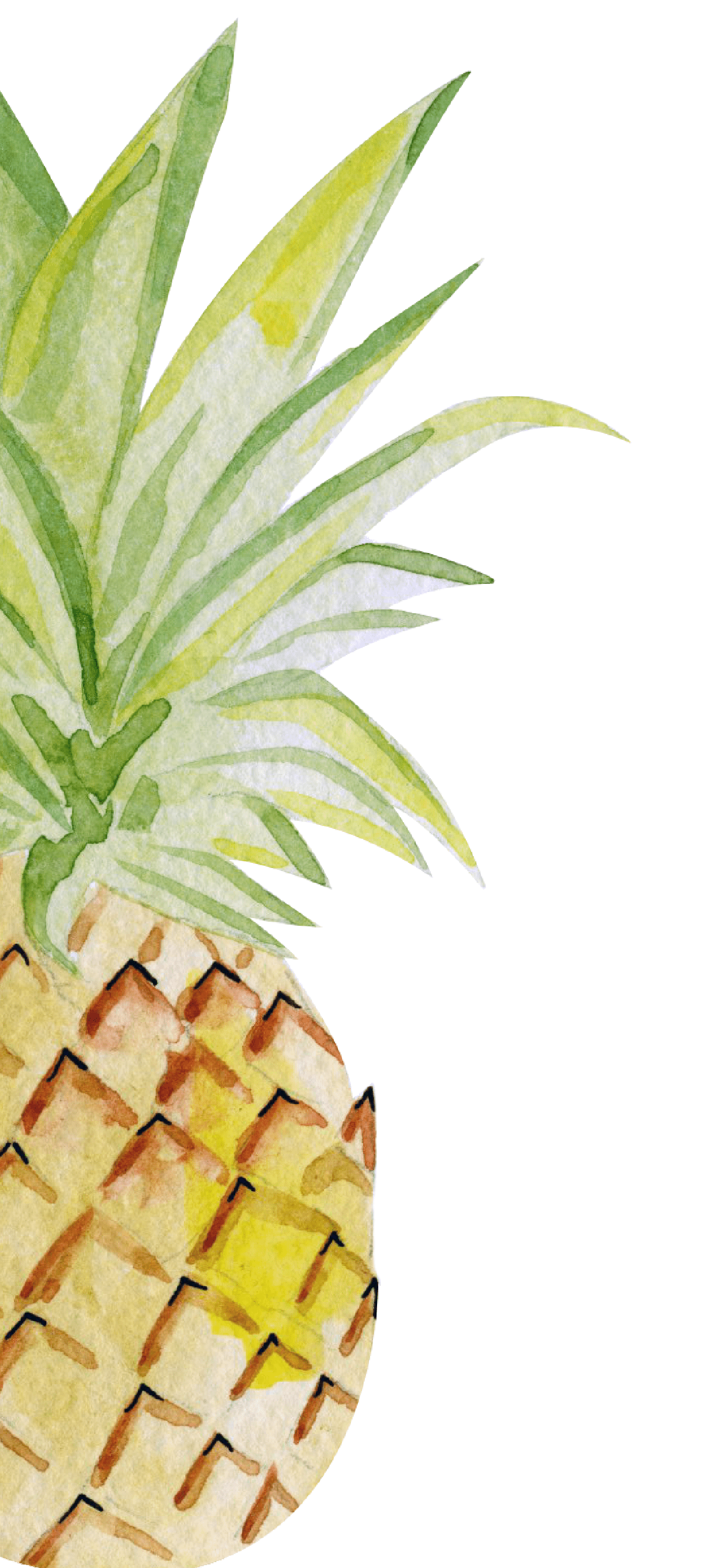 Yellow Summer Phone Wallpapers Top Free Yellow Summer Phone