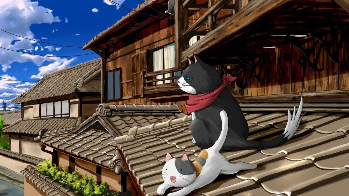 Japan Cat Wallpapers Top Free Japan Cat Backgrounds WallpaperAccess