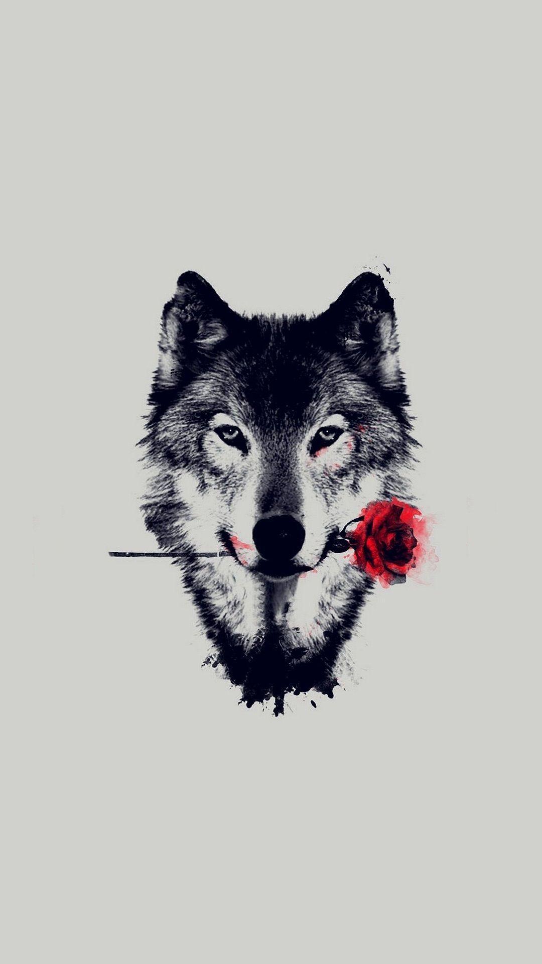 Wolf Aesthetic Wallpapers Top Free Wolf Aesthetic Backgrounds