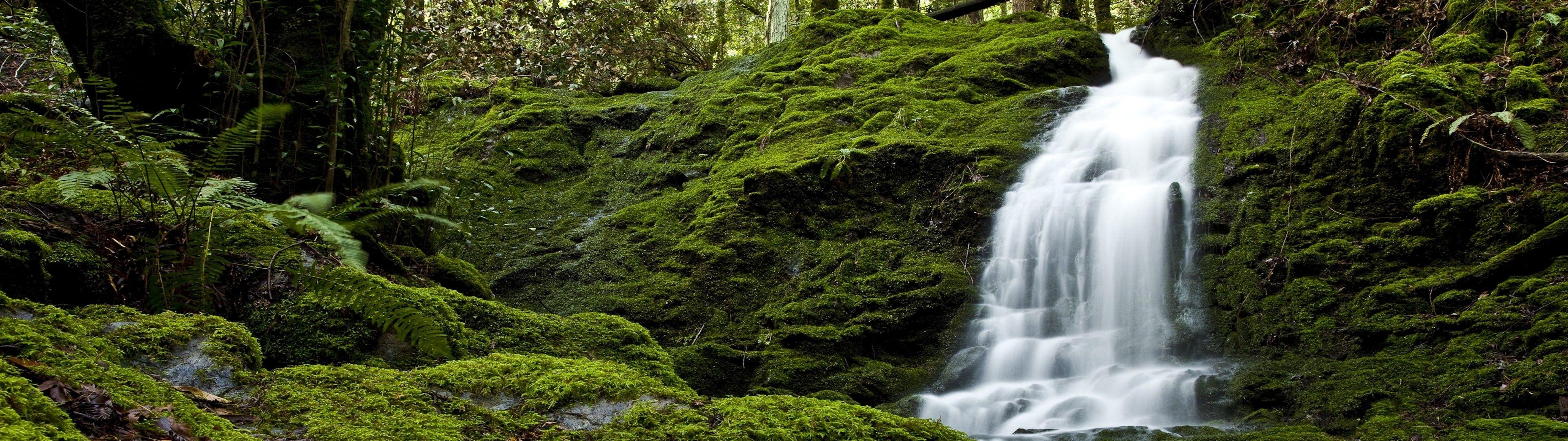 Forest Dual Screen Wallpapers Top Free Forest Dual Screen Backgrounds