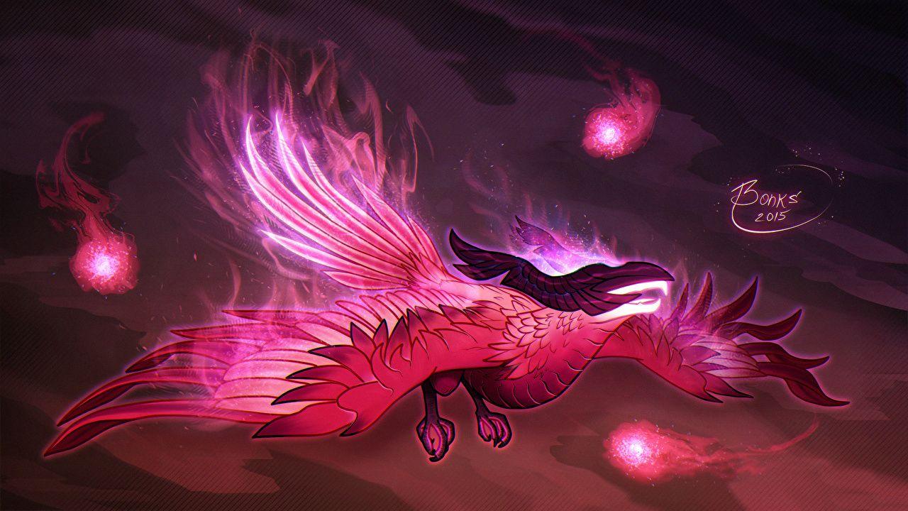 Pink Phoenix Wallpapers Top Free Pink Phoenix Backgrounds