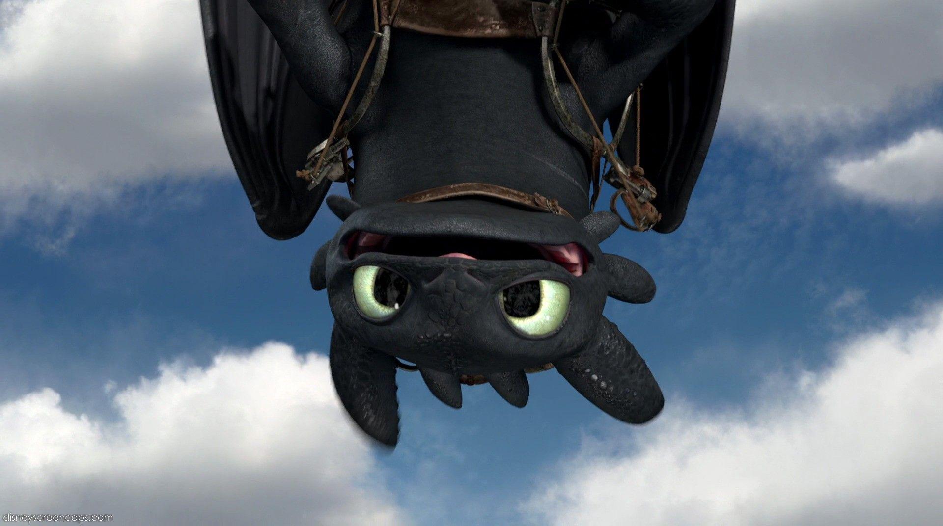 100+ Toothless wallpaper cute For How to Train your Dragon fans