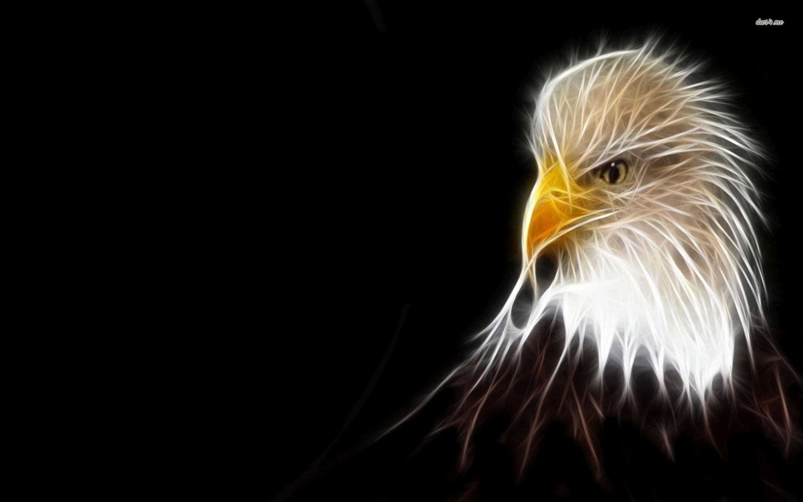 Dark Eagle Wallpapers Top Free Dark Eagle Backgrounds WallpaperAccess
