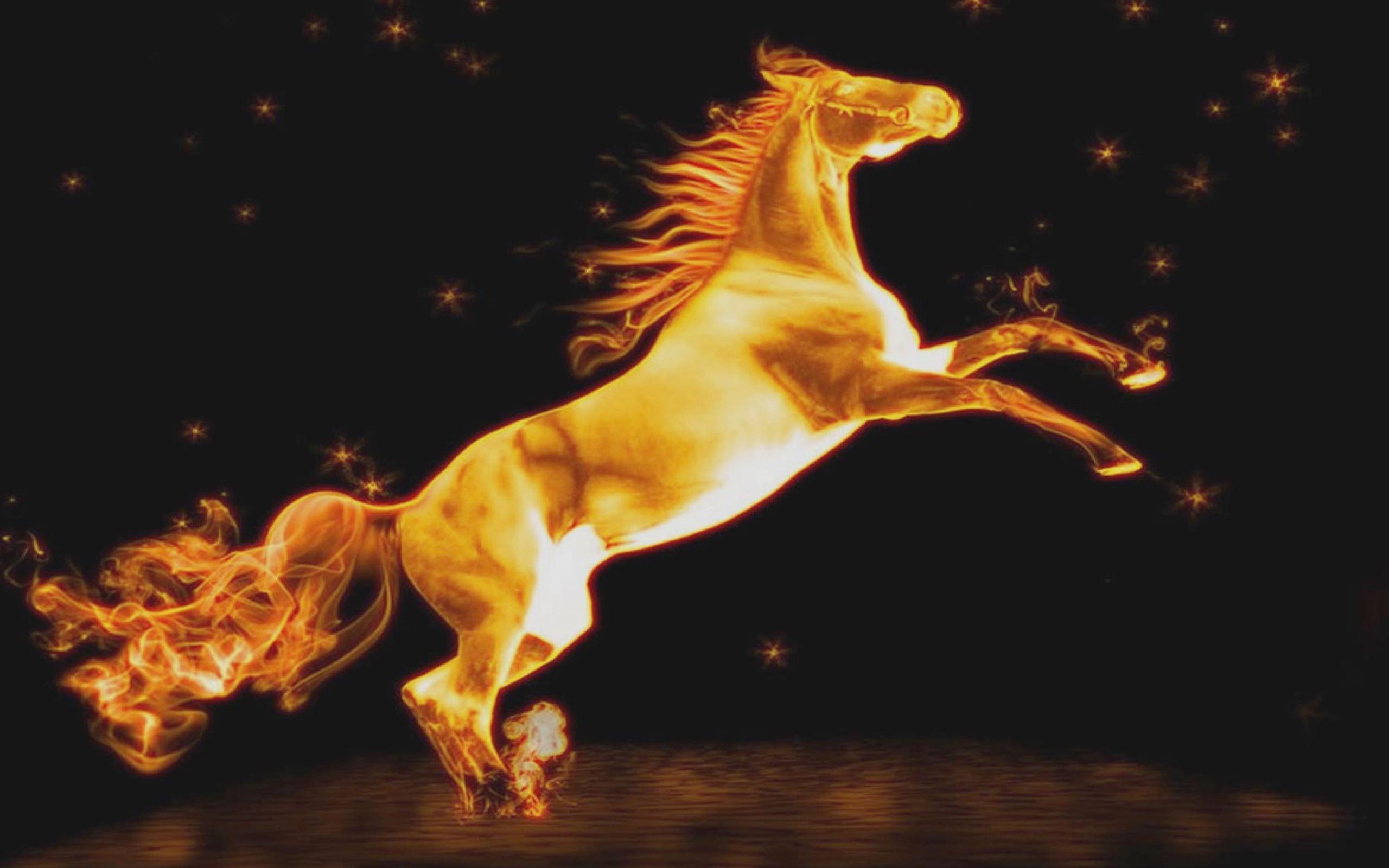 3D Fire Horse Wallpapers Top Free 3D Fire Horse Backgrounds