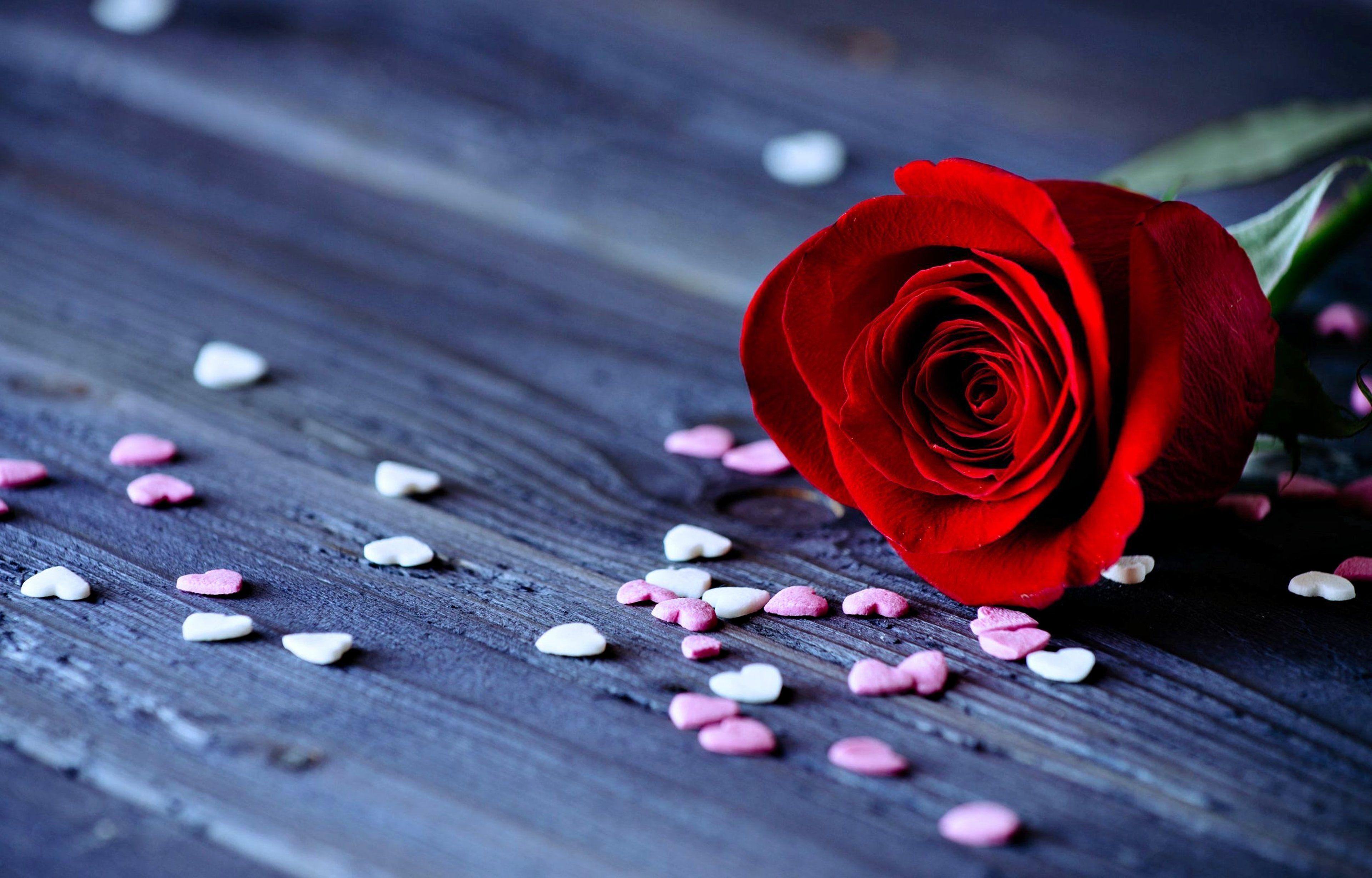 Romance Wallpapers Top Free Romance Backgrounds WallpaperAccess
