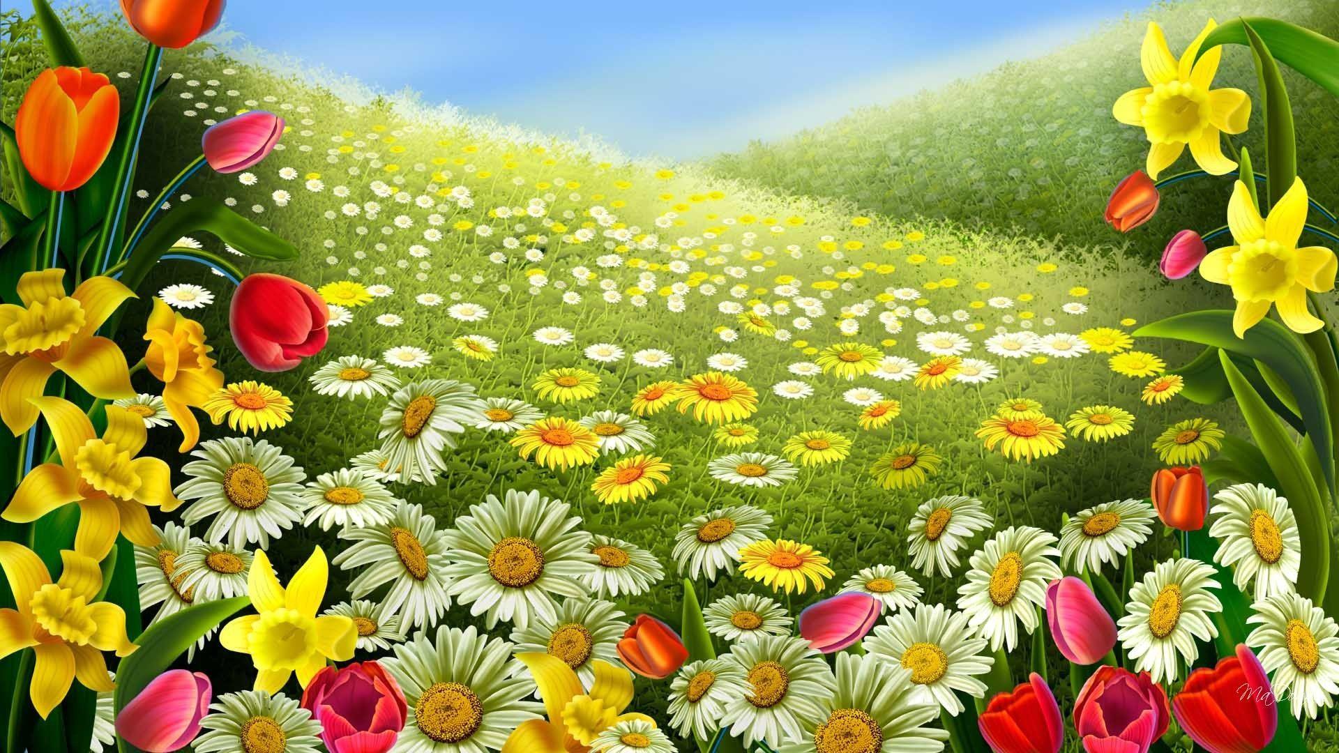 Beautiful Spring Flowers Wallpapers Top Free Beautiful Spring Flowers