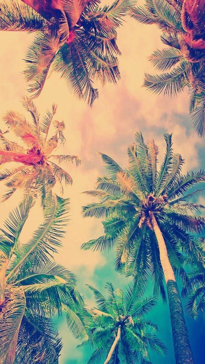 Swag iPhone Wallpapers Top Free Swag iPhone Backgrounds WallpaperAccess