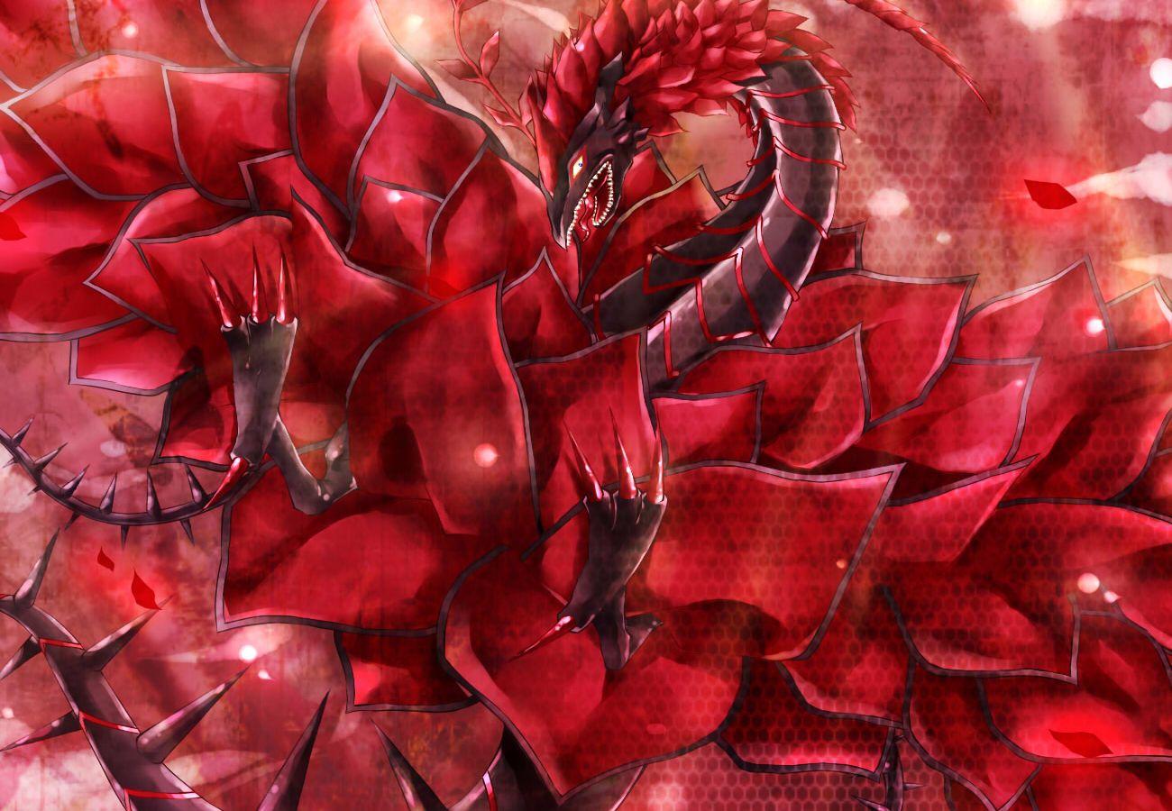 Rose Dragon Wallpapers Top Free Rose Dragon Backgrounds WallpaperAccess