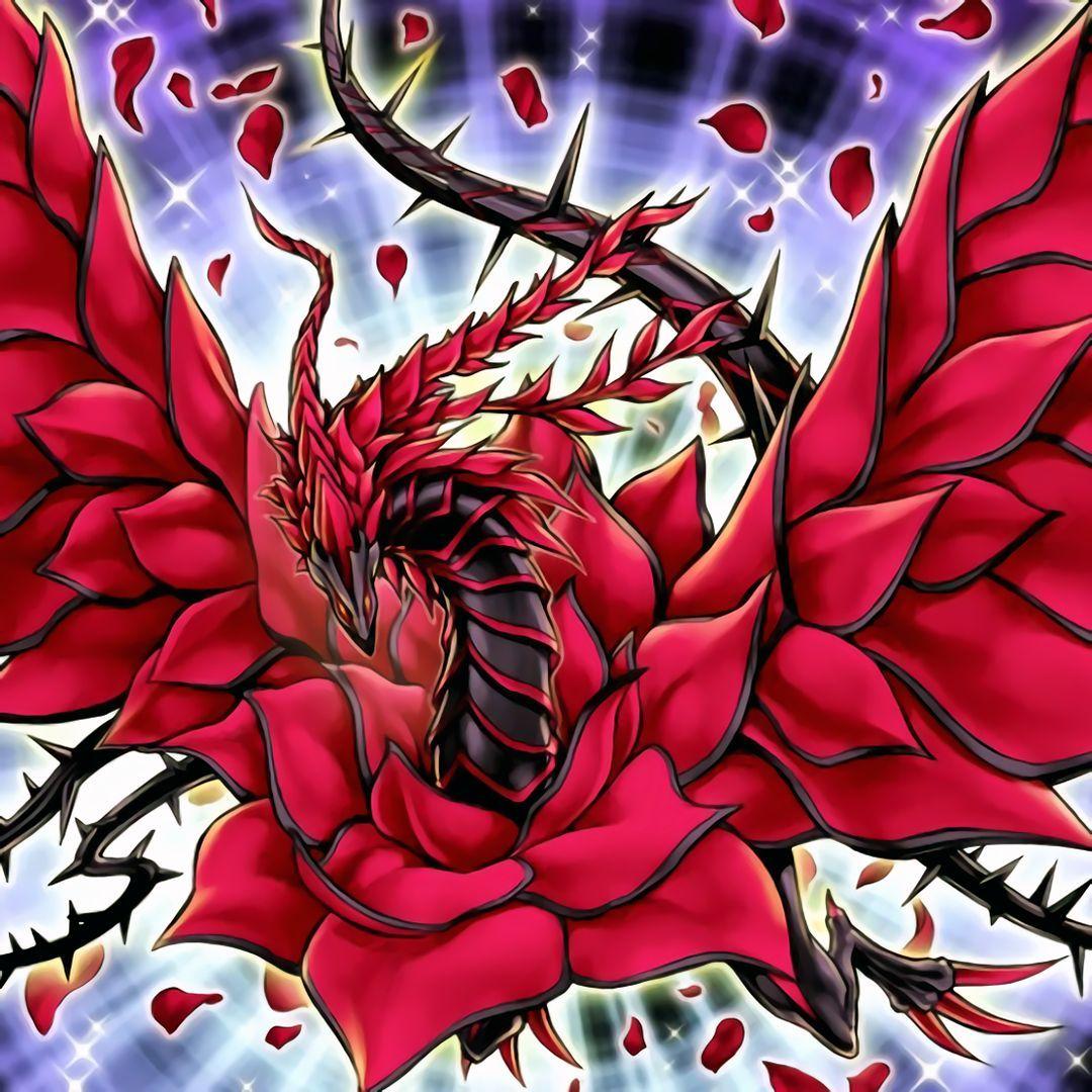 Rose Dragon Wallpapers Top Free Rose Dragon Backgrounds WallpaperAccess