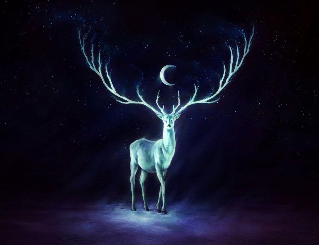 Patronus Wallpapers Top Free Patronus Backgrounds WallpaperAccess