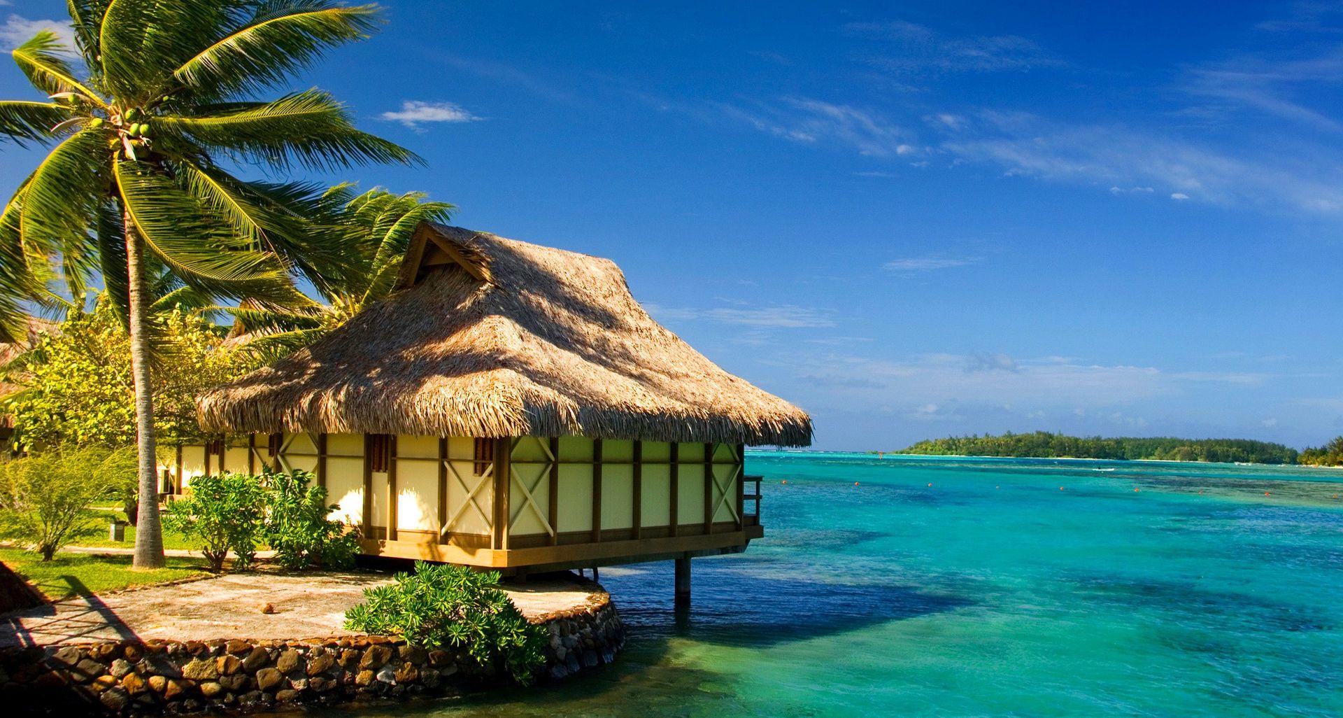 Best Nature Wallpapers Top Free Best Nature Backgrounds WallpaperAccess