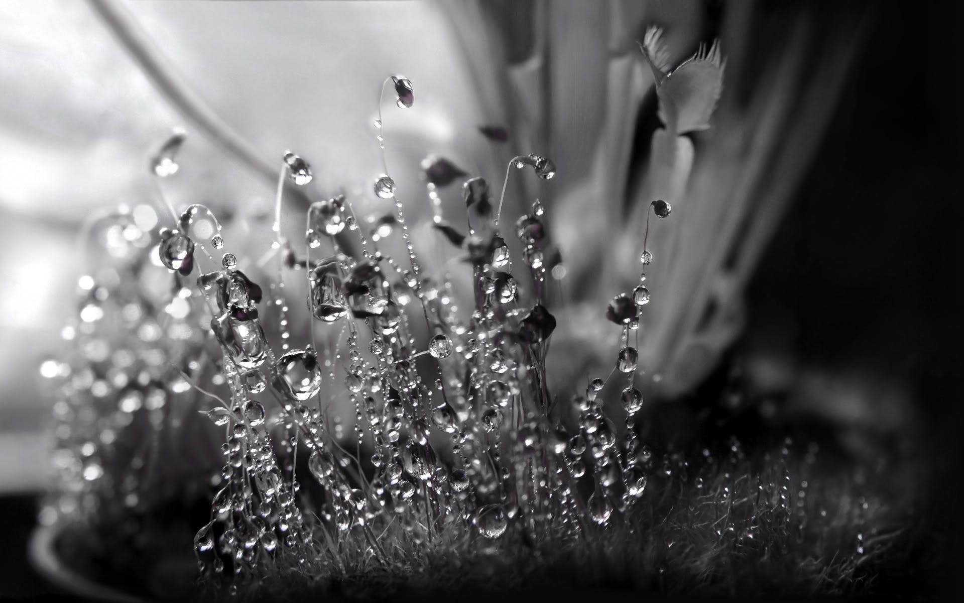 Black Crystal Wallpapers Top Free Black Crystal Backgrounds