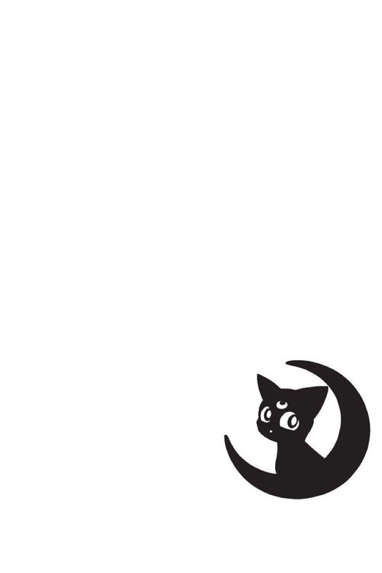 Luna Sailor Moon Wallpapers - Top Free Luna Sailor Moon Backgrounds - Wallpaperaccess 1124_x_750_jpg
