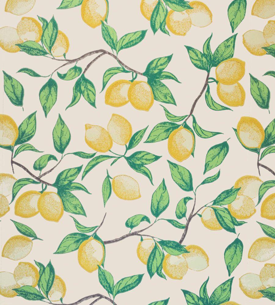 Lemon Pattern Wallpapers Top Free Lemon Pattern Backgrounds
