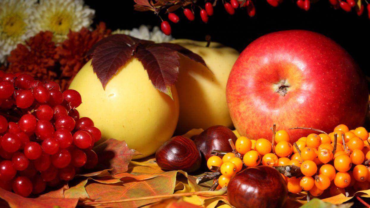 Autumn Fruit Wallpapers Top Free Autumn Fruit Backgrounds
