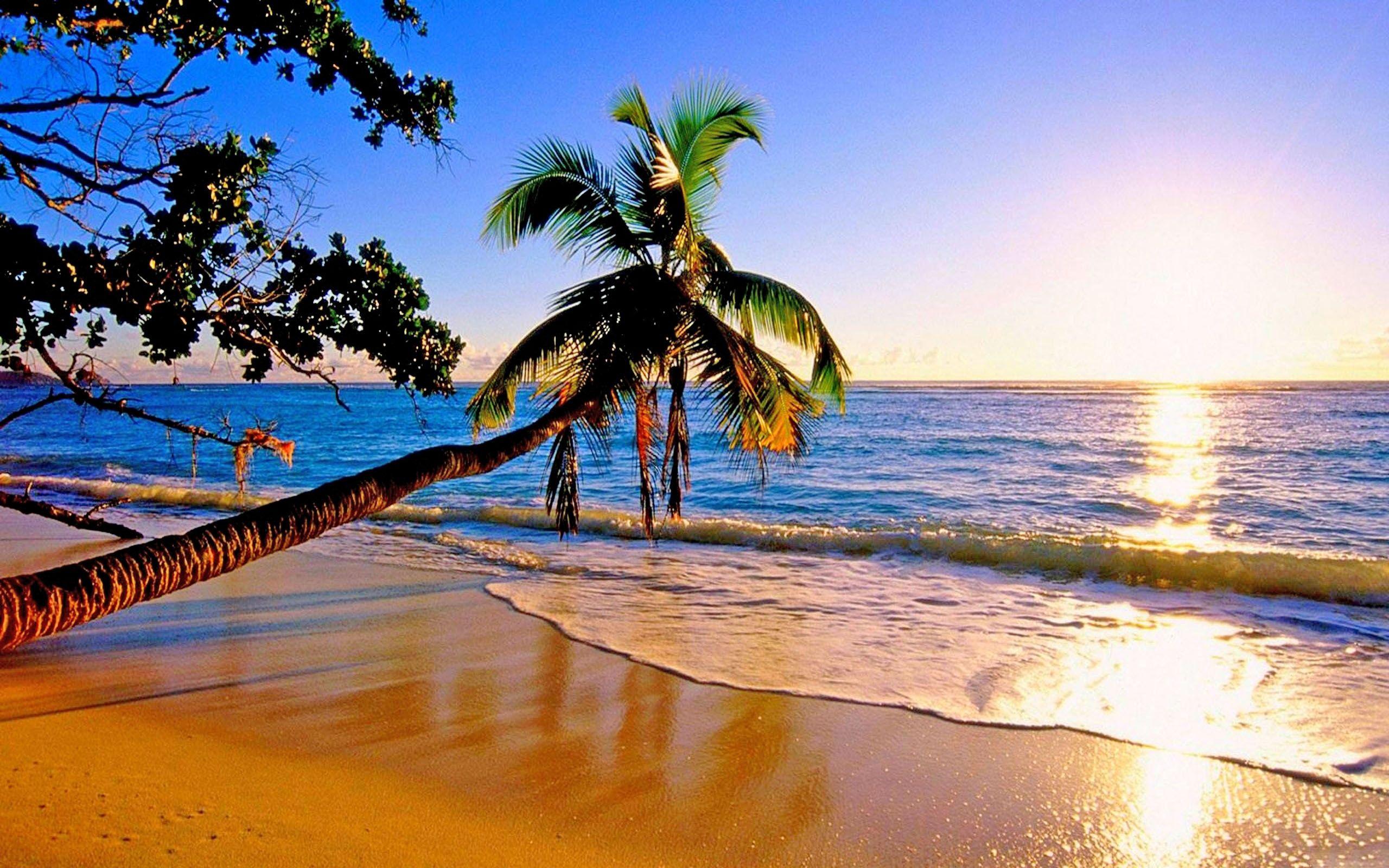 Beautiful Paradise Wallpapers - Top Free Beautiful Paradise Backgrounds