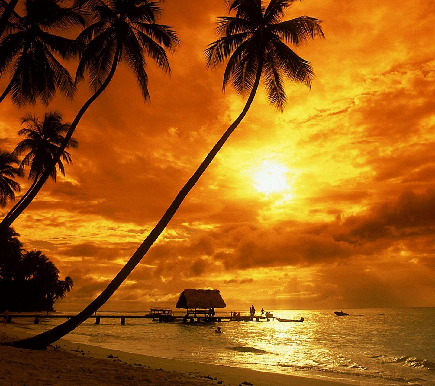 Caribbean Sunset Wallpapers Top Free Caribbean Sunset Backgrounds