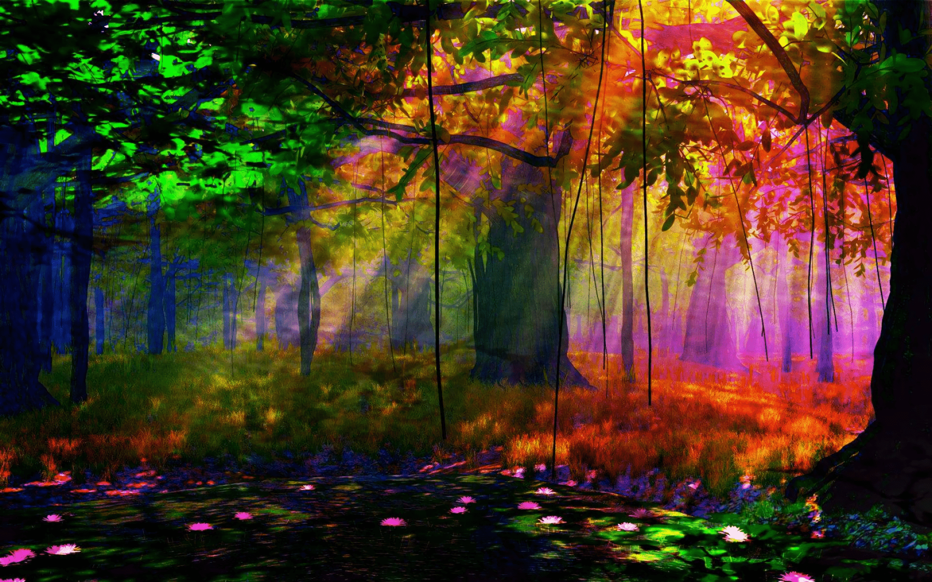 Colorful Forest Wallpapers Top Free Colorful Forest Backgrounds