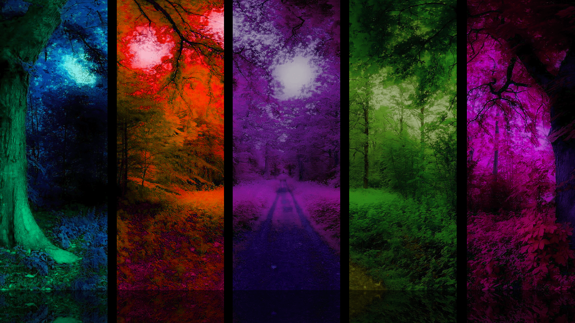 Colorful Forest Wallpapers Top Free Colorful Forest Backgrounds