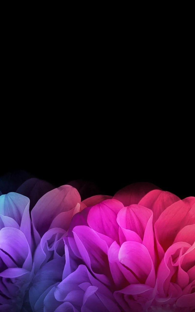 Black and Flower Wallpapers Top Free Black and Flower Backgrounds