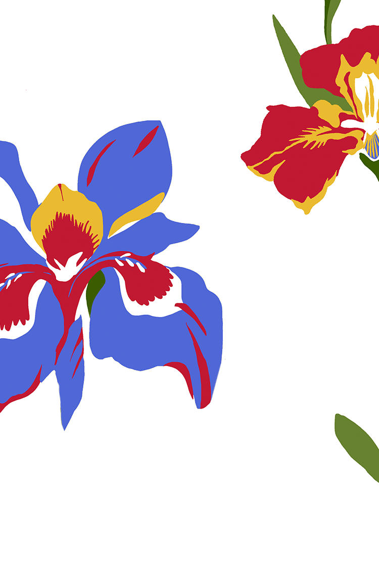 Tory Burch Wallpapers Top Free Tory Burch Backgrounds WallpaperAccess