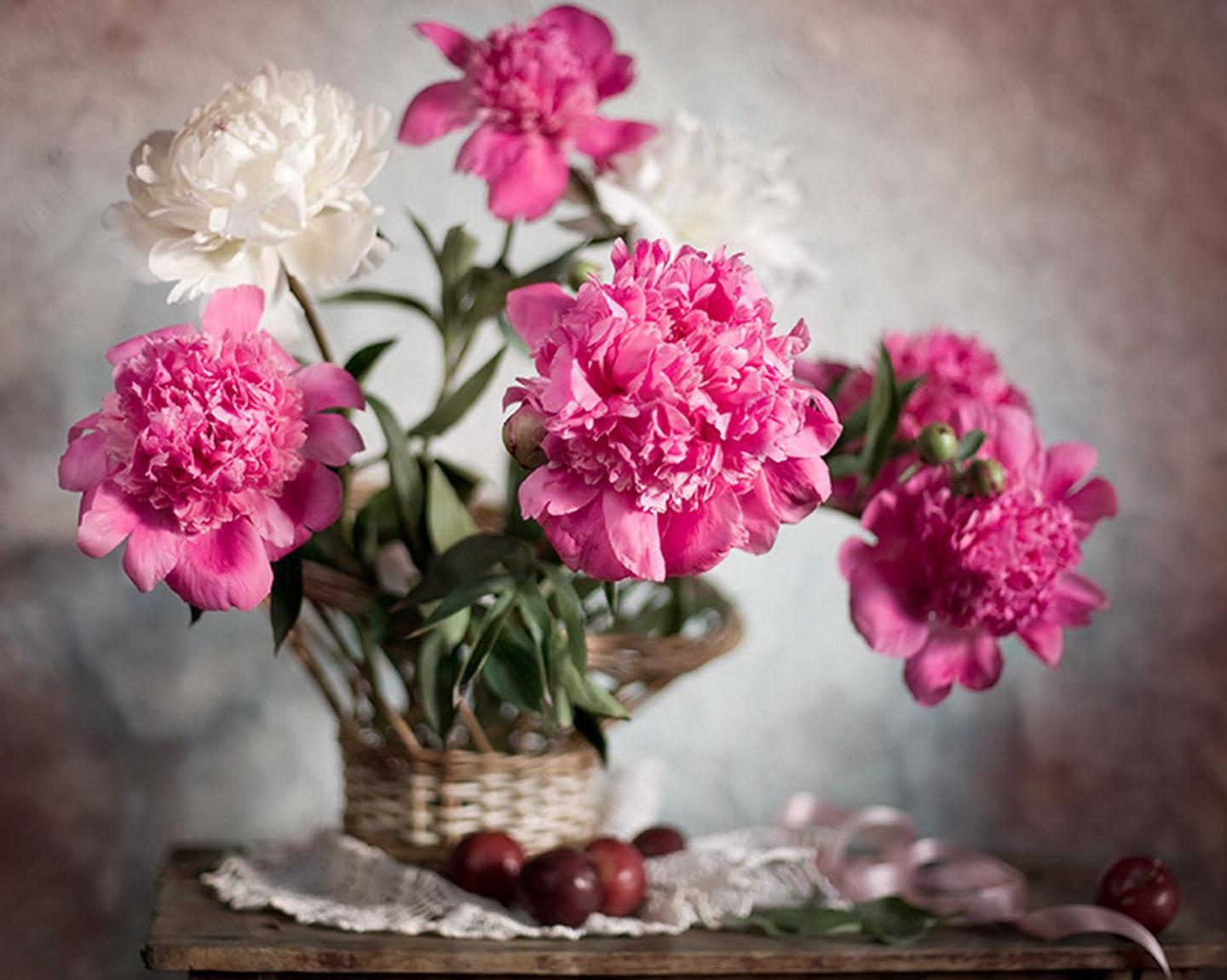 Peonies Flowers Wallpapers Top Free Peonies Flowers Backgrounds