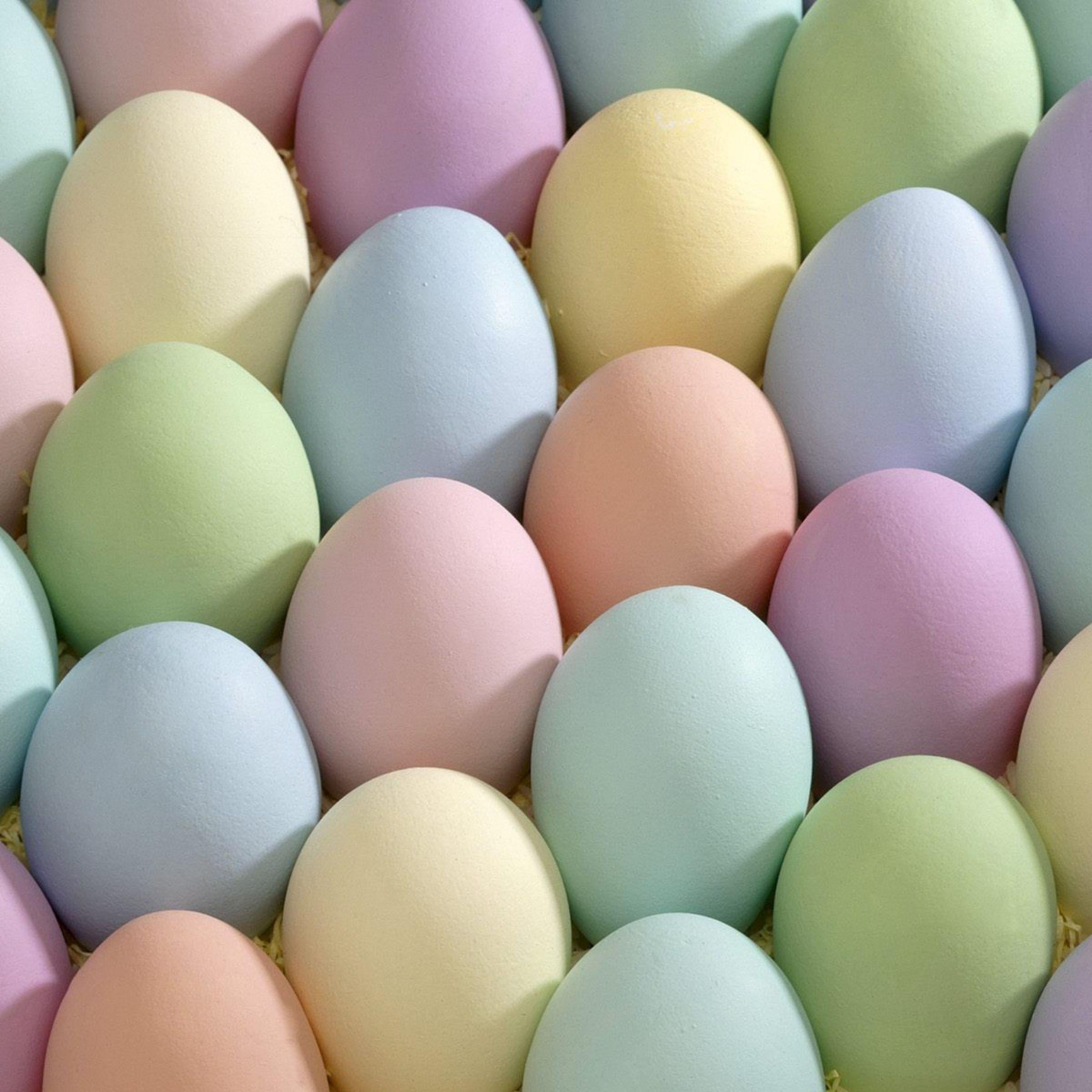 Egg iPhone Wallpapers Top Free Egg iPhone Backgrounds WallpaperAccess