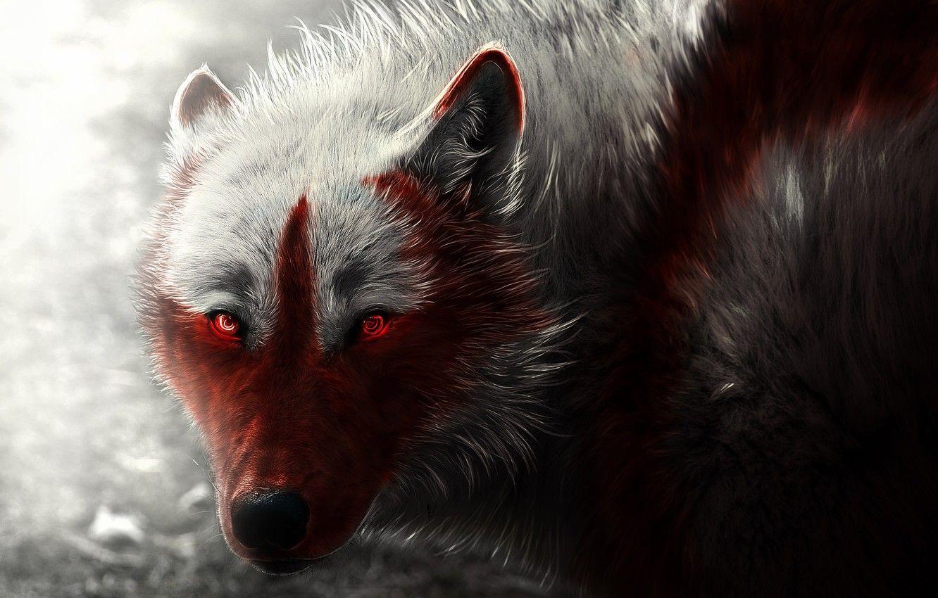 Cool Wolf Eye Wallpapers Top Free Cool Wolf Eye Backgrounds