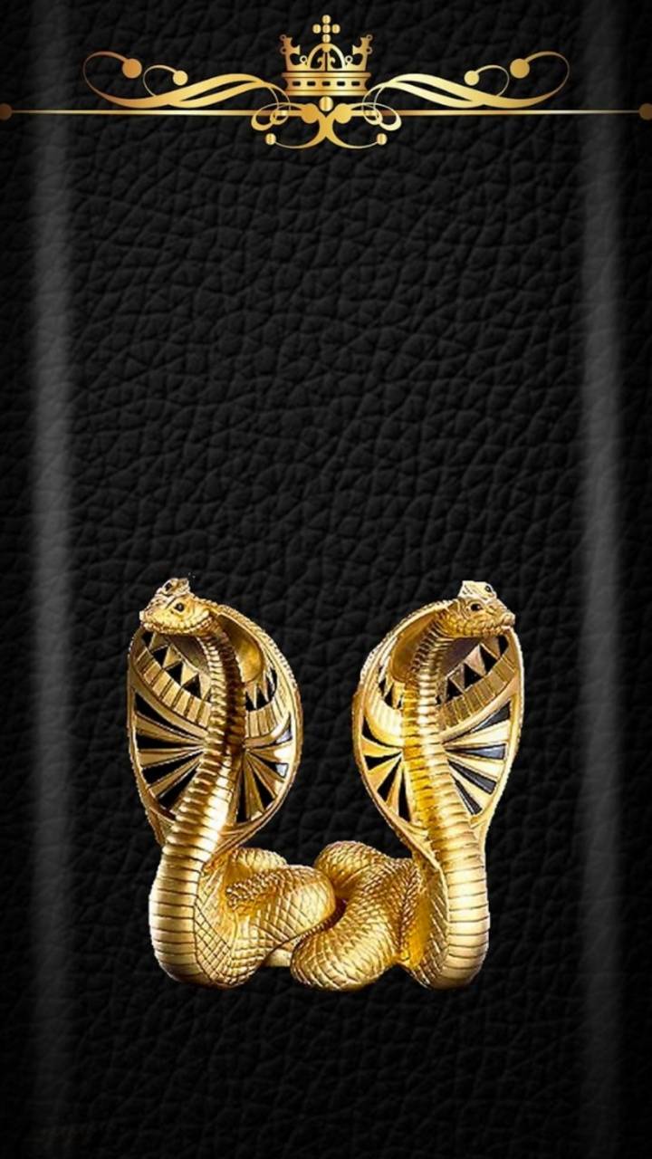 Gold Snake Wallpapers Top Free Gold Snake Backgrounds WallpaperAccess