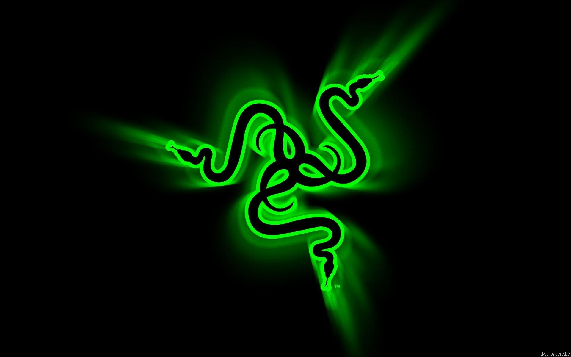 Neon Snake Wallpapers Top Free Neon Snake Backgrounds WallpaperAccess