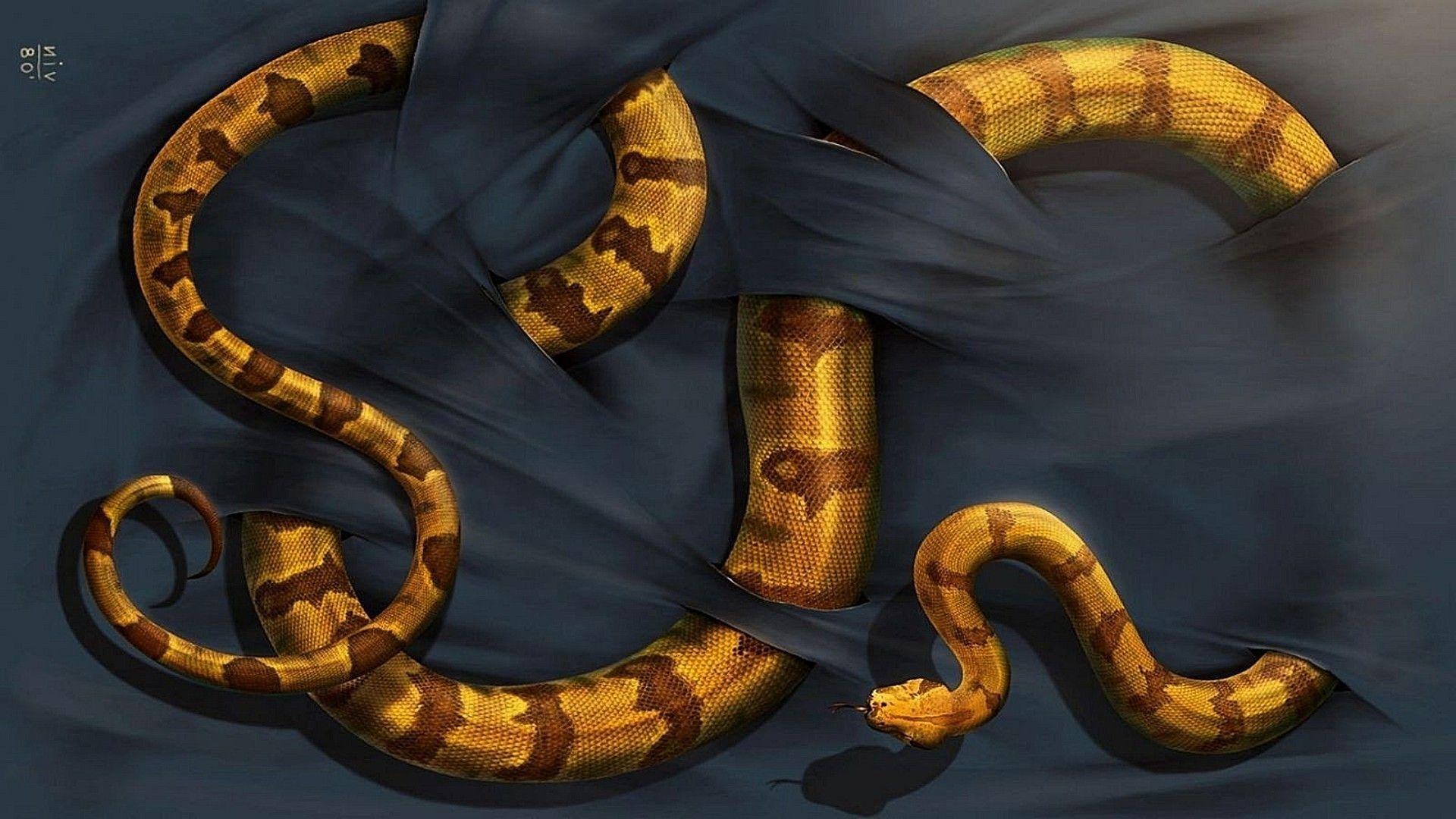 Gold Snake Wallpapers Top Free Gold Snake Backgrounds WallpaperAccess