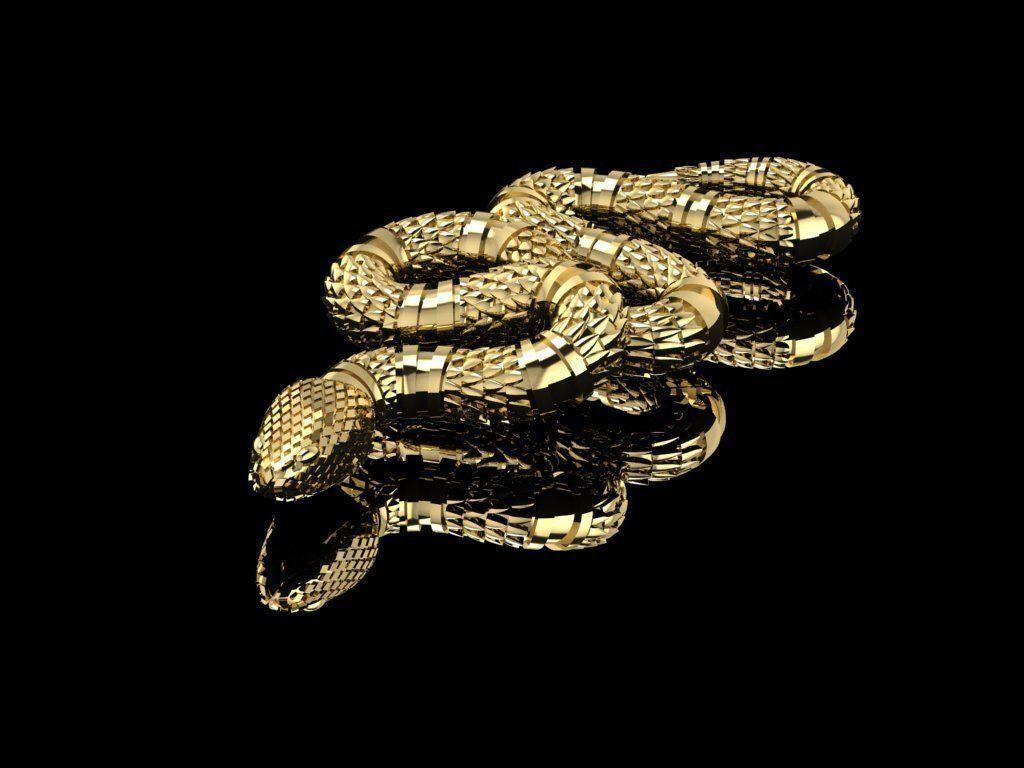 Gold Snake Wallpapers Top Free Gold Snake Backgrounds WallpaperAccess