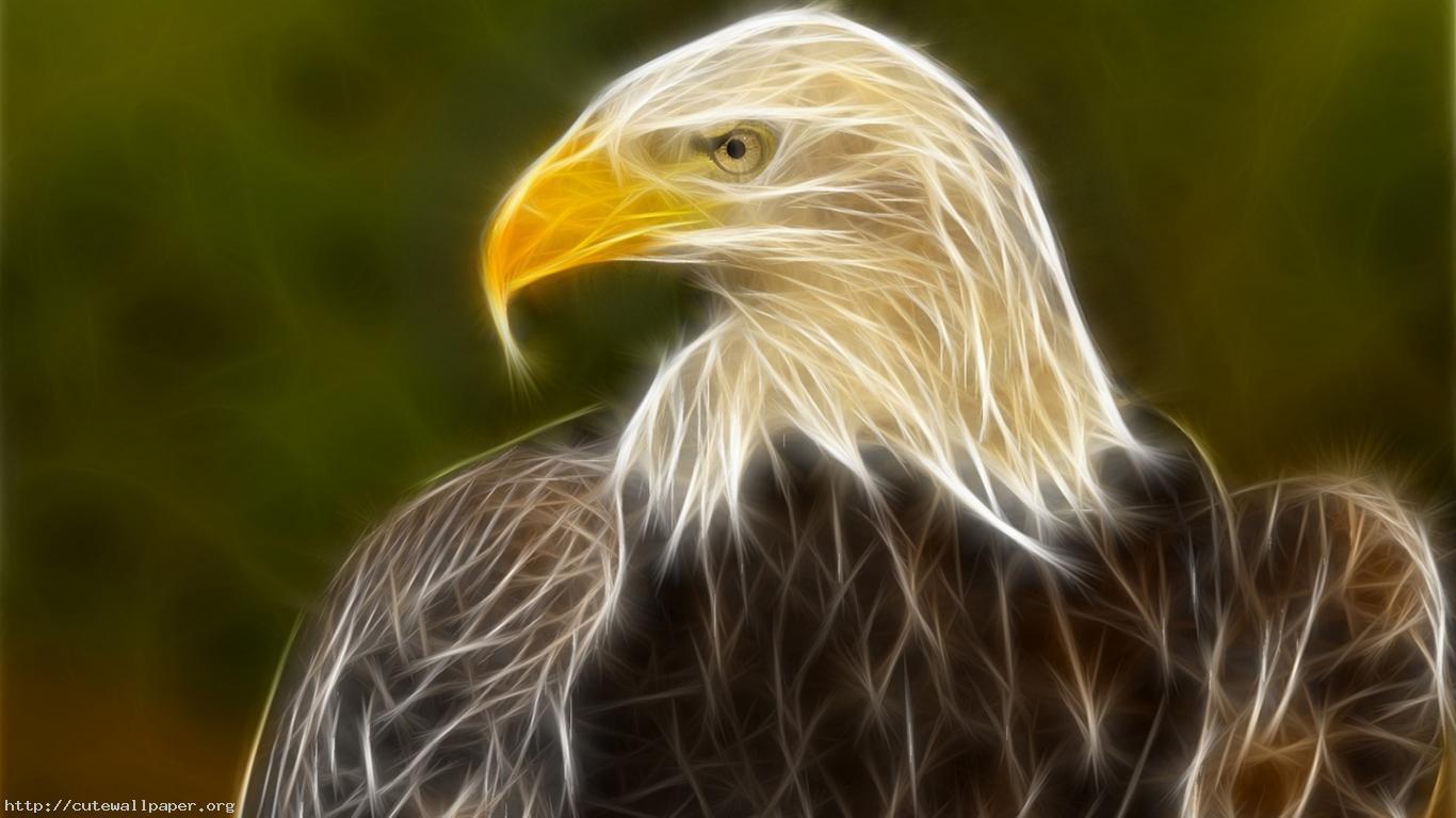 Epic Animals Wallpapers Top Free Epic Animals Backgrounds