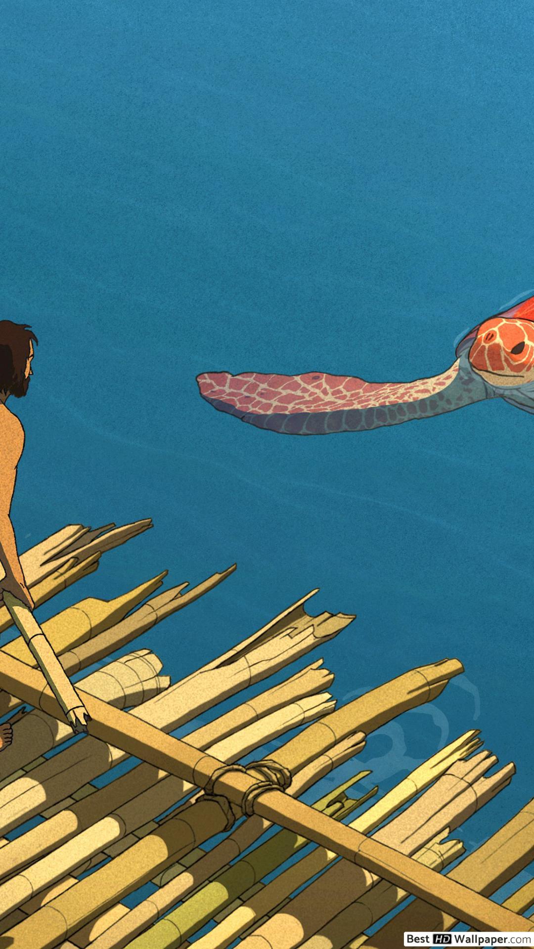 The Red Turtle Wallpapers Top Free The Red Turtle Backgrounds