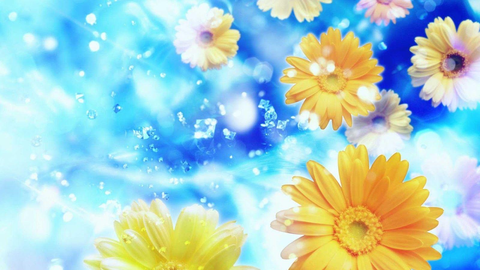 Blue and Yellow Floral Wallpapers Top Free Blue and Yellow Floral