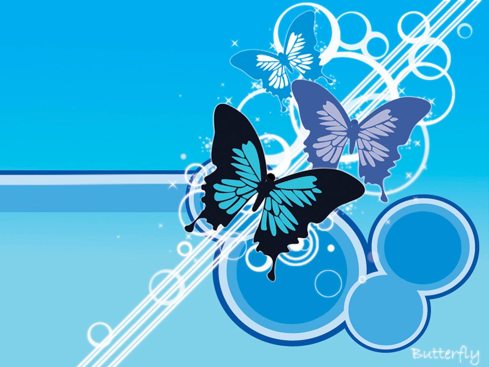 Turquoise Butterfly Wallpapers Top Free Turquoise Butterfly