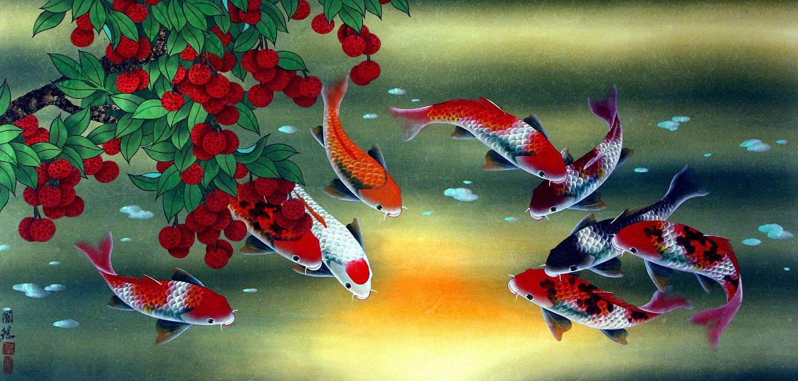 Gold Koi Wallpapers Top Free Gold Koi Backgrounds WallpaperAccess