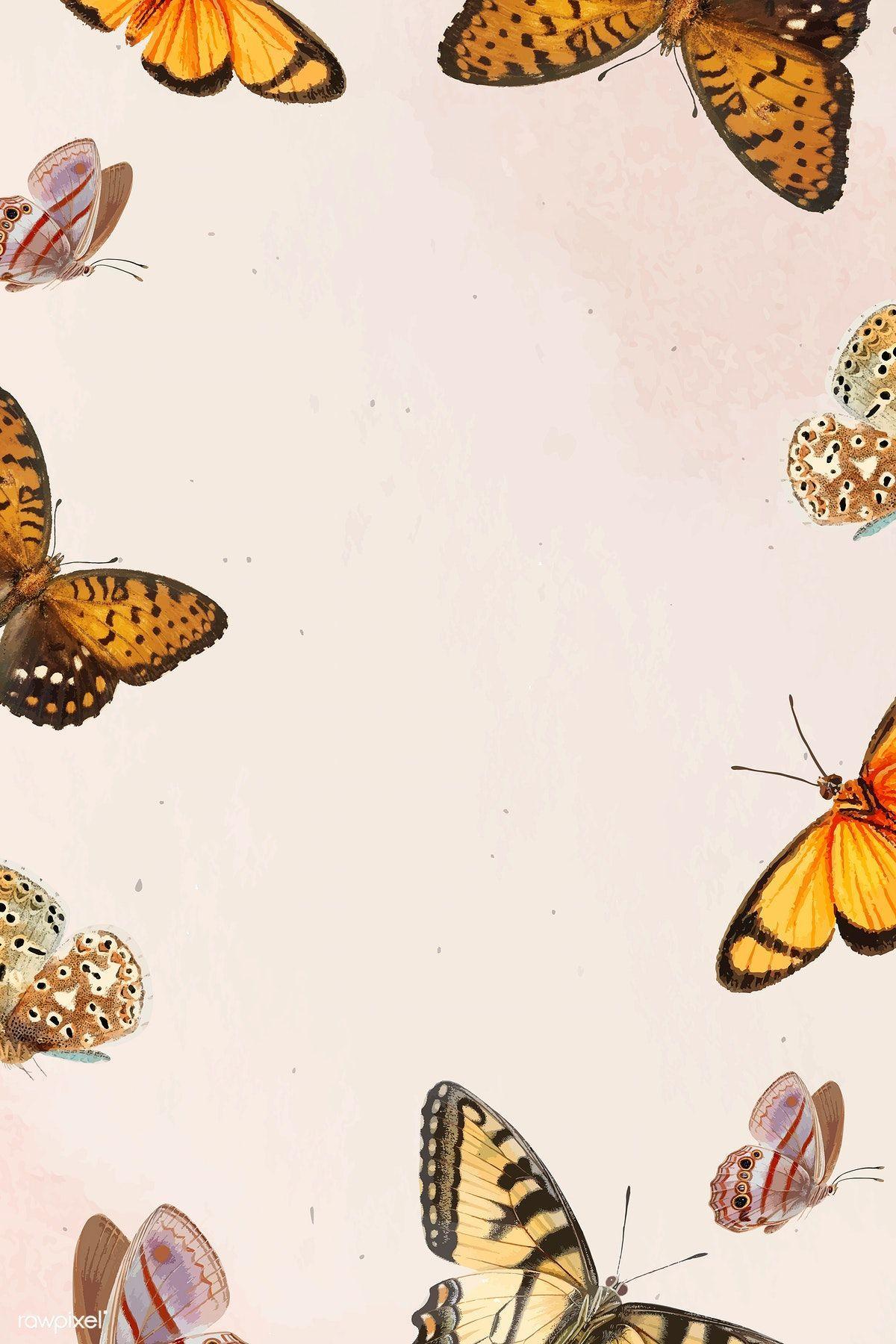 Vintage Butterfly Wallpapers Top Free Vintage Butterfly Backgrounds