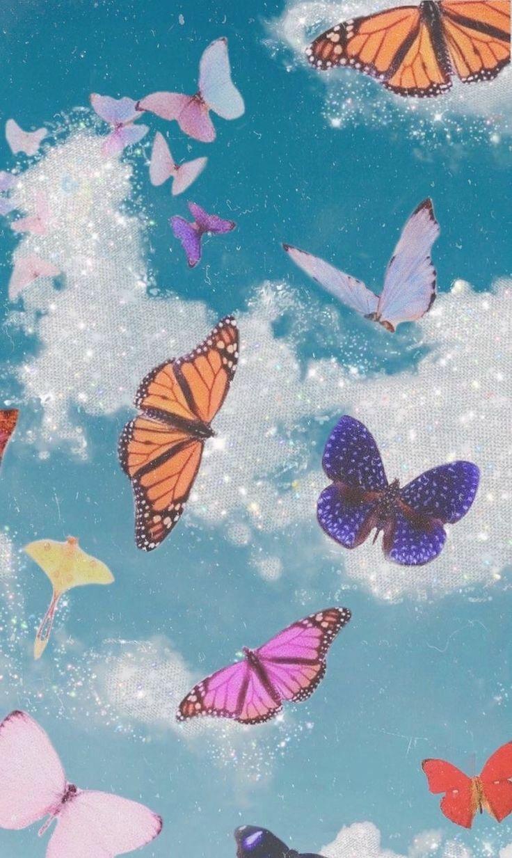Vintage Butterfly Wallpapers Top Free Vintage Butterfly Backgrounds