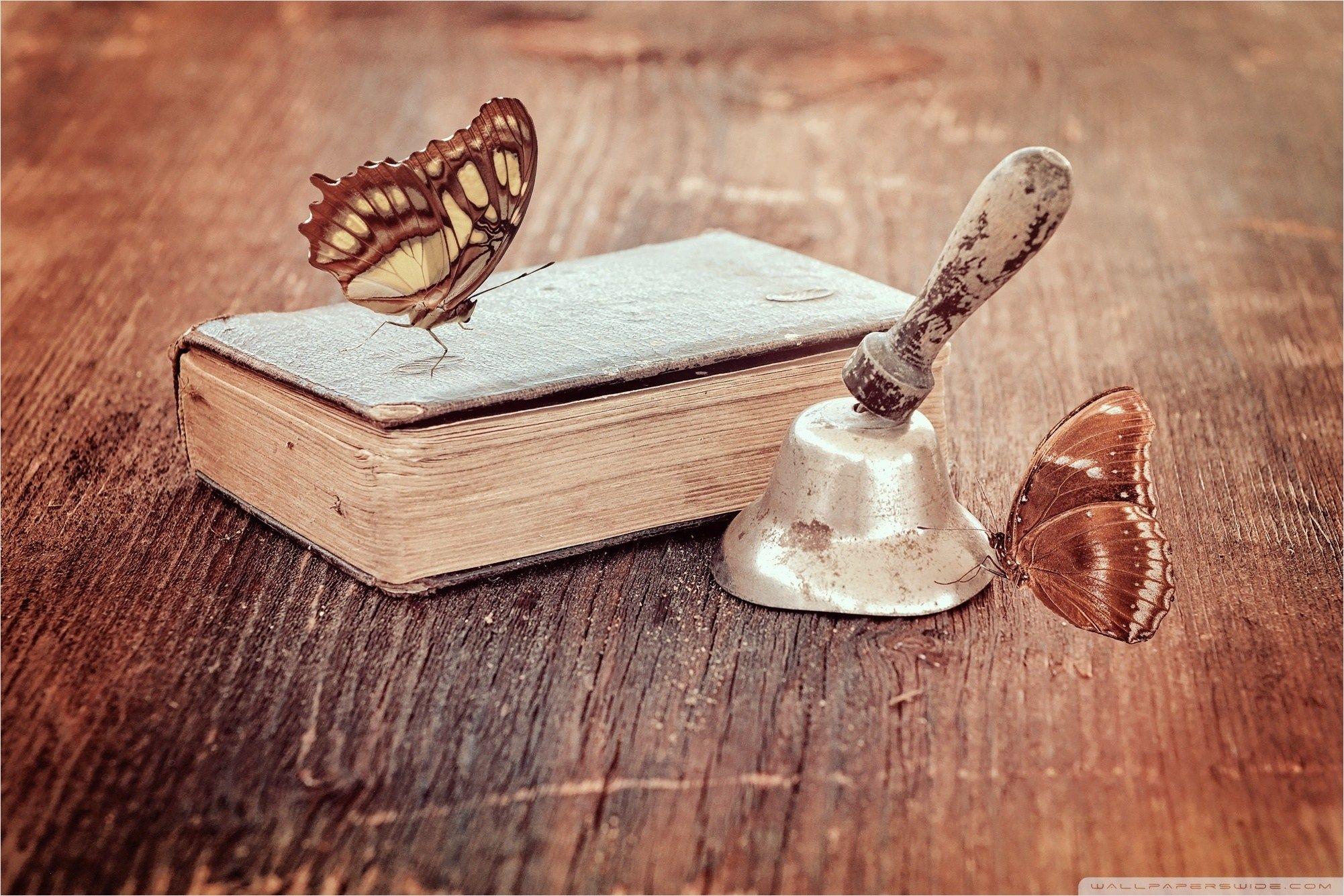 Vintage Butterfly Wallpapers Top Free Vintage Butterfly Backgrounds