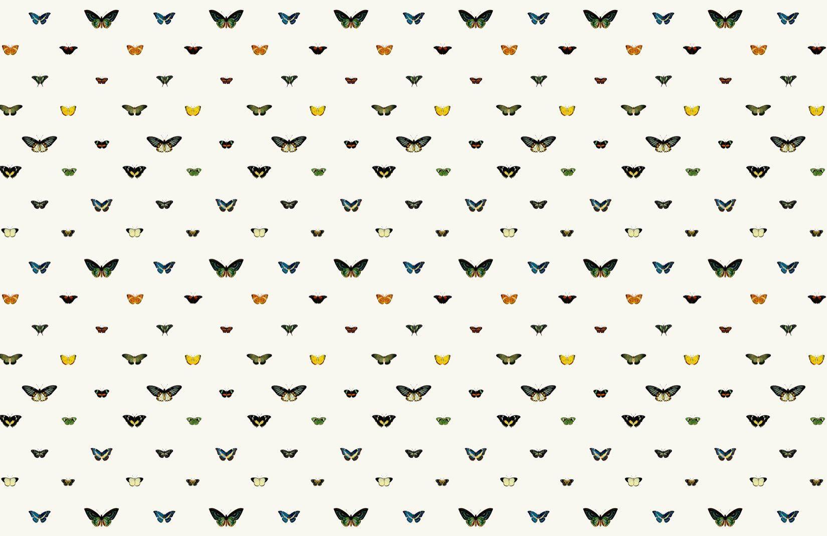 Plain Aesthetic Wallpapers Top Free Plain Aesthetic